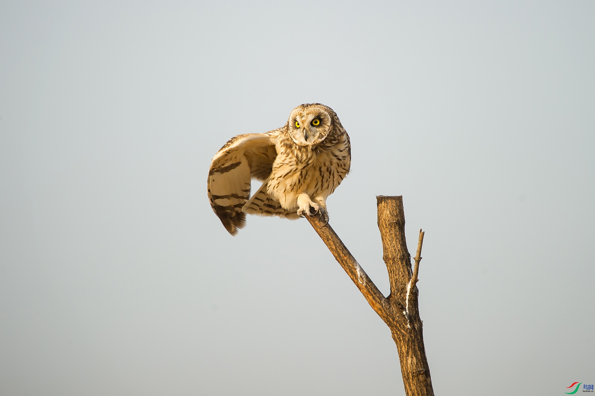 DSC_1020-20201221�ü�.jpg