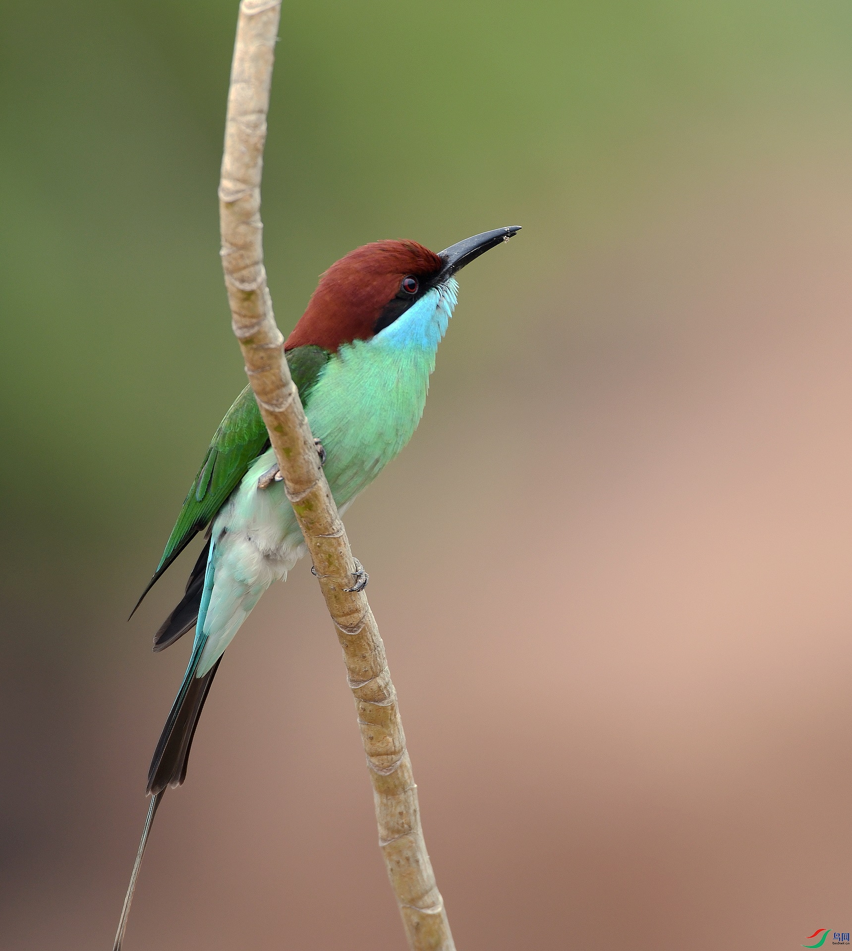 DSC_0955.jpg