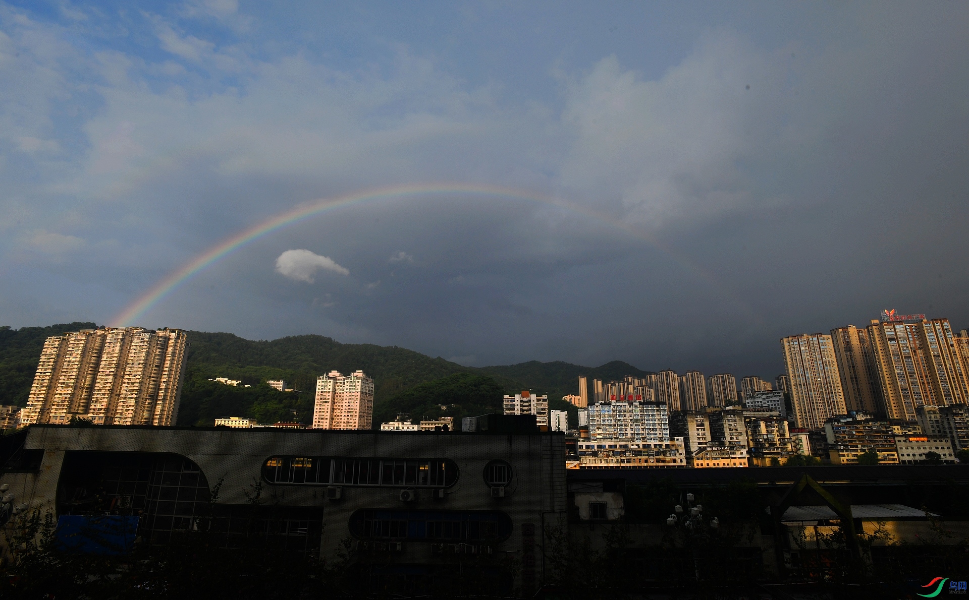 DSC_0504.jpg