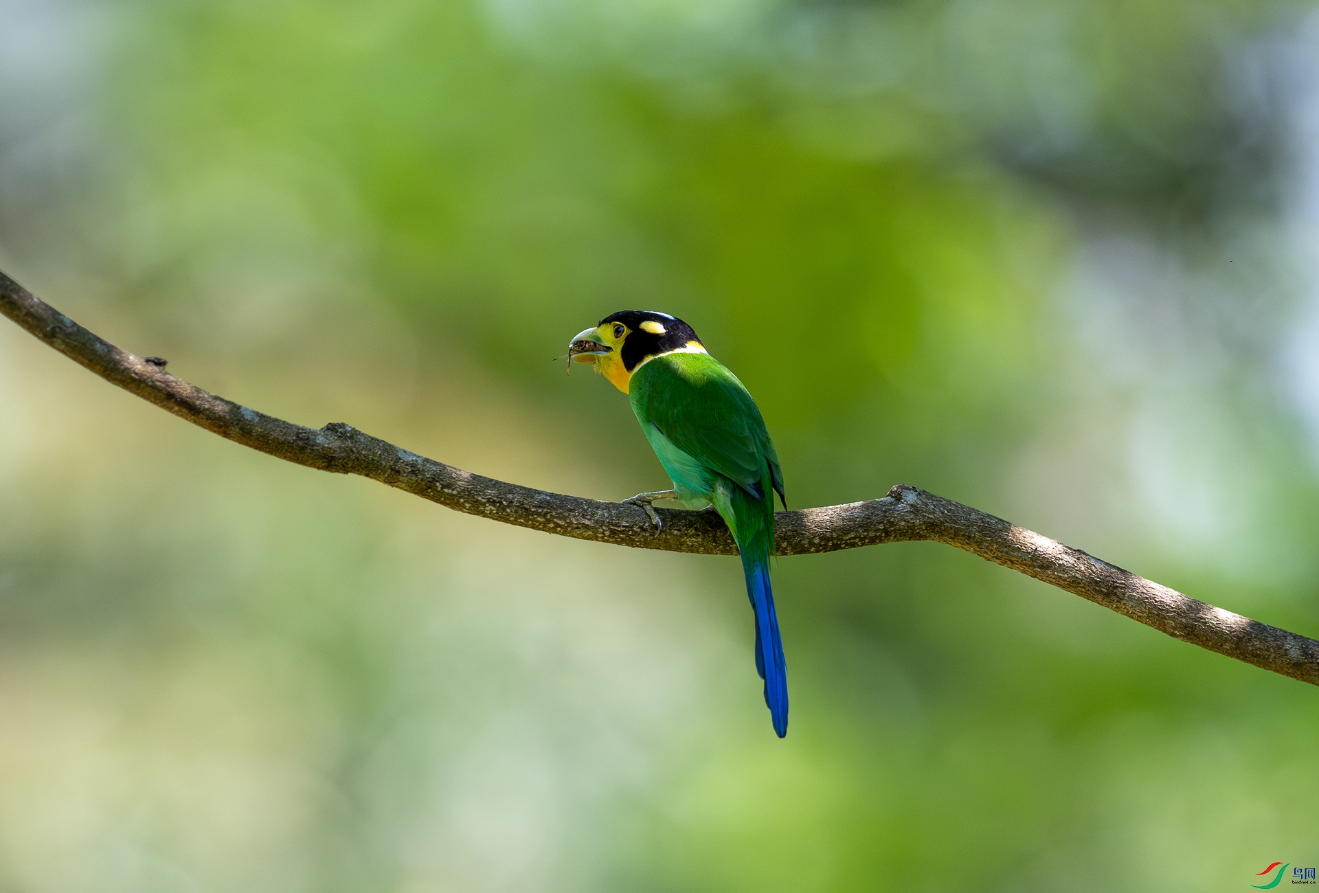 DSC_5071-1.jpg
