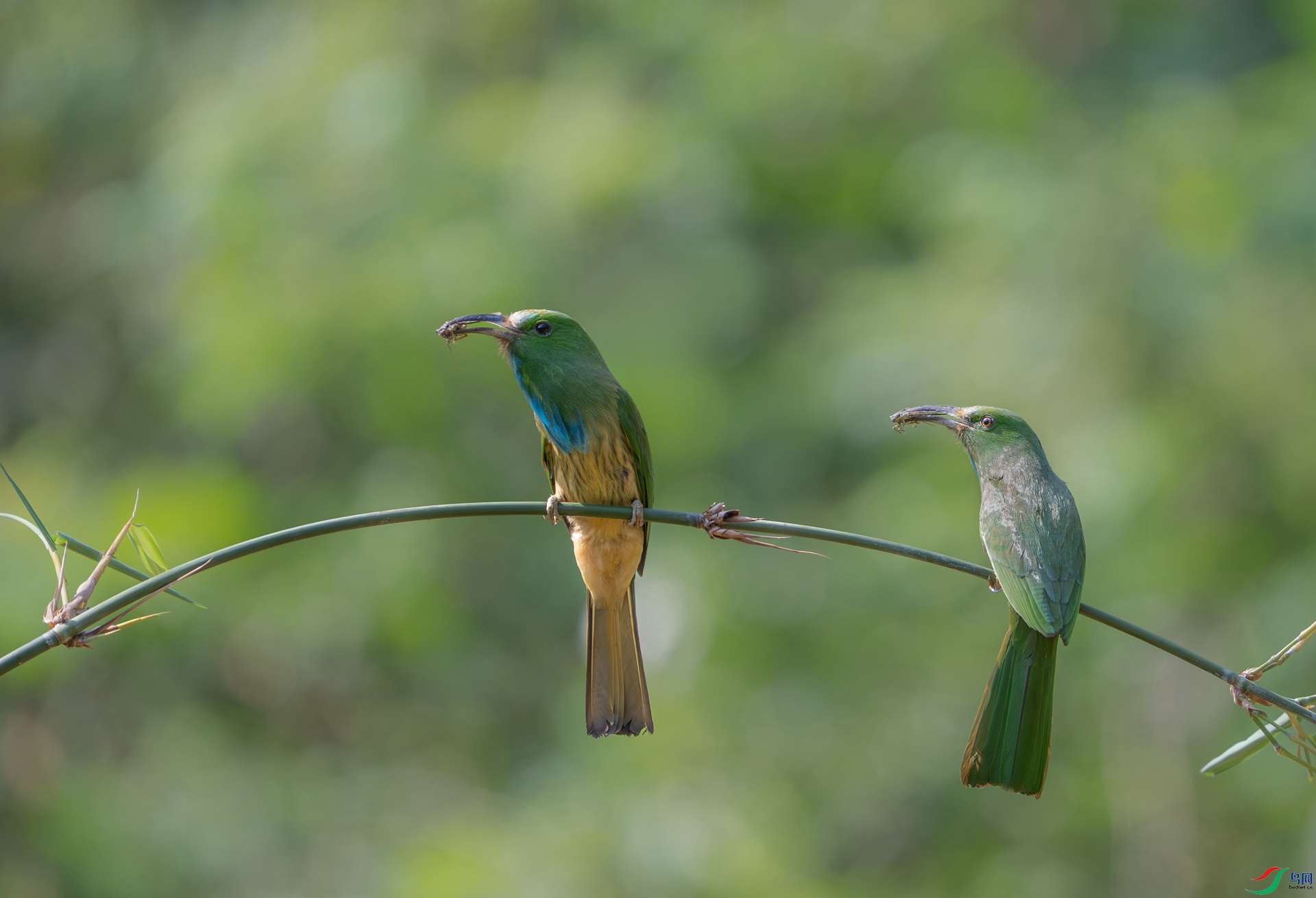 DSC_4320-1.jpg