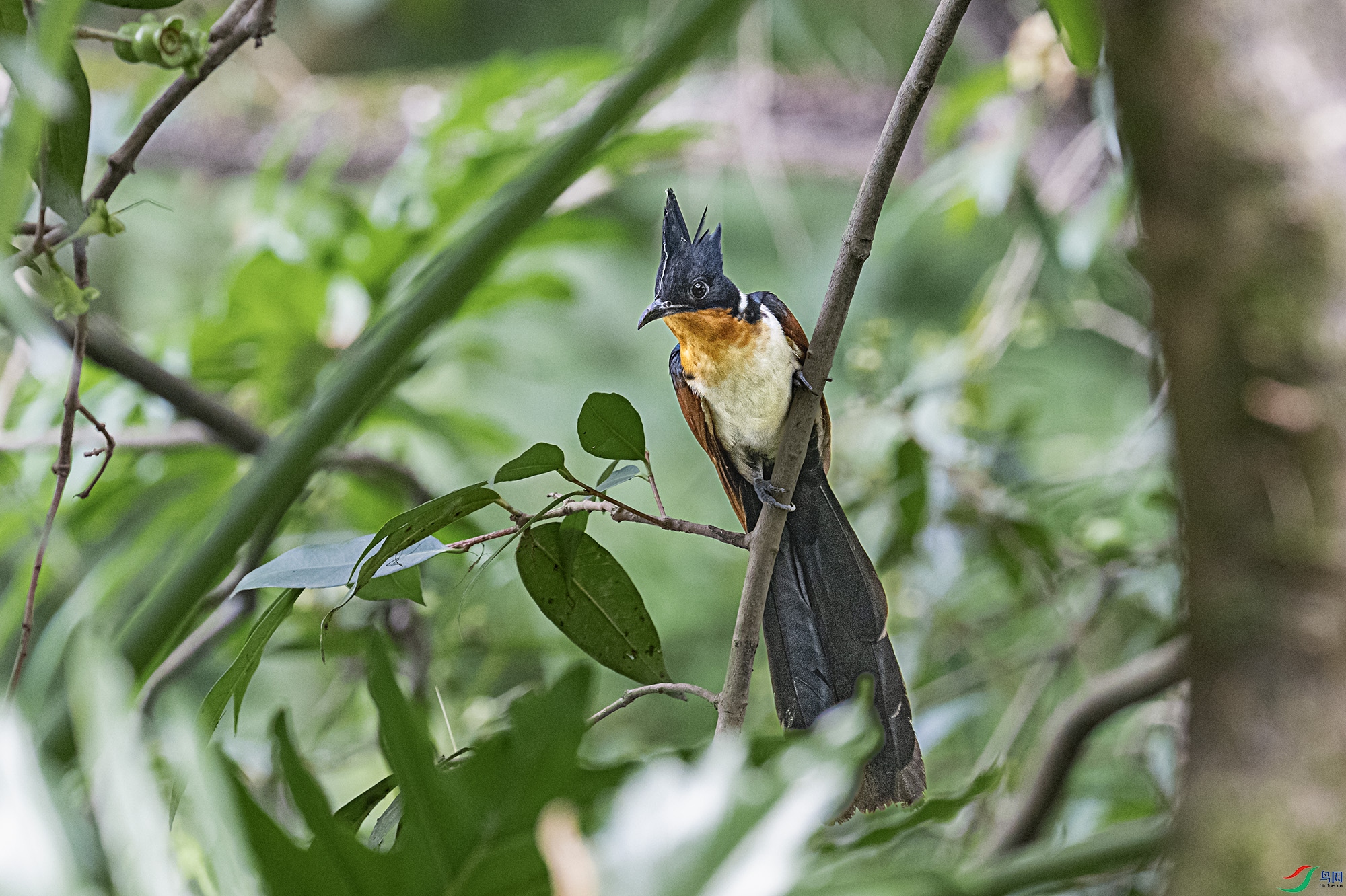 DSC_8960.jpg