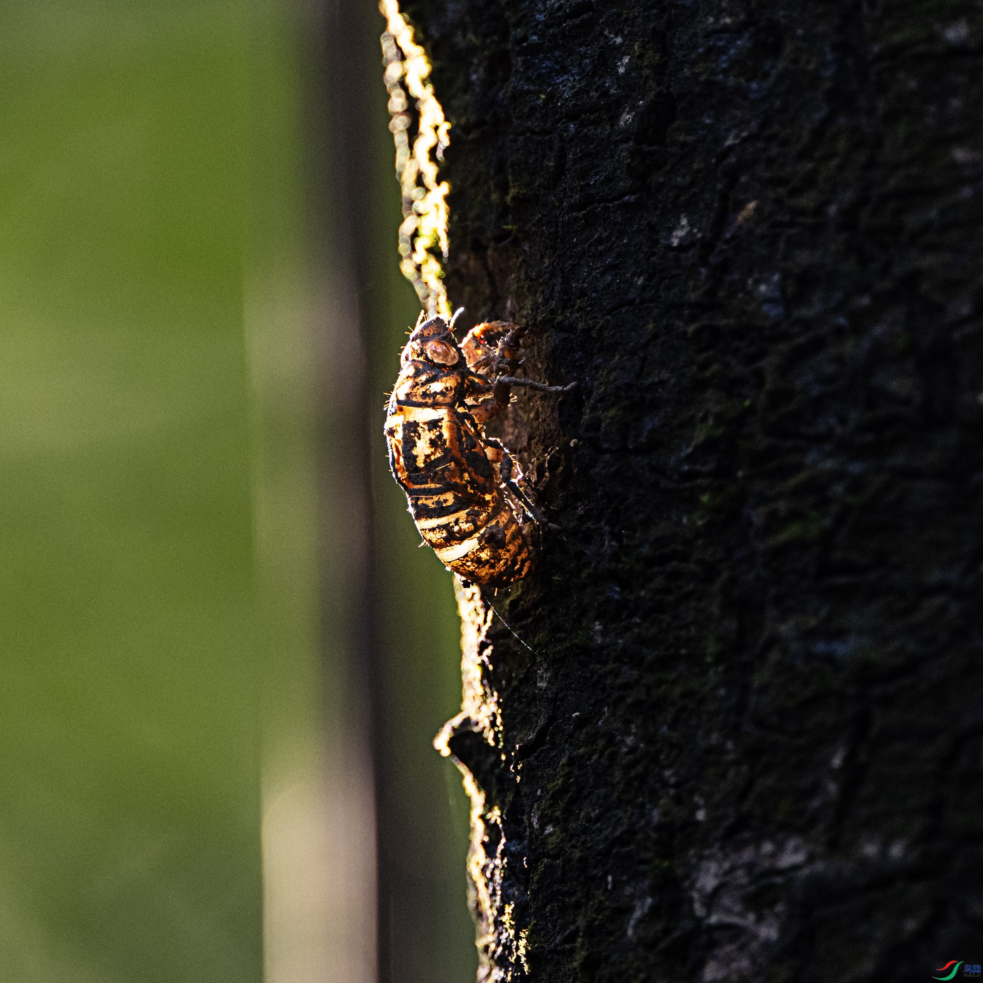 DSC_9019.jpg