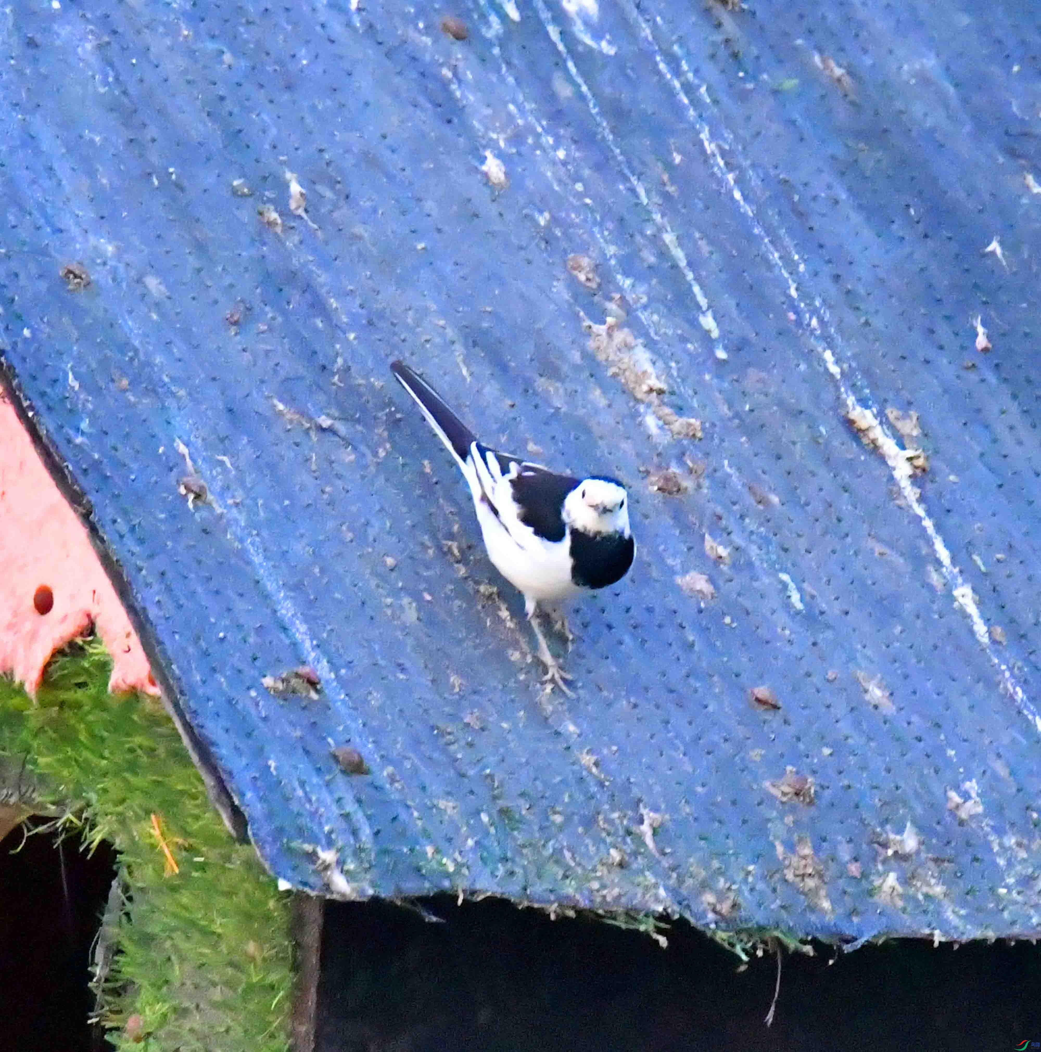 DSC_0712.JPG
