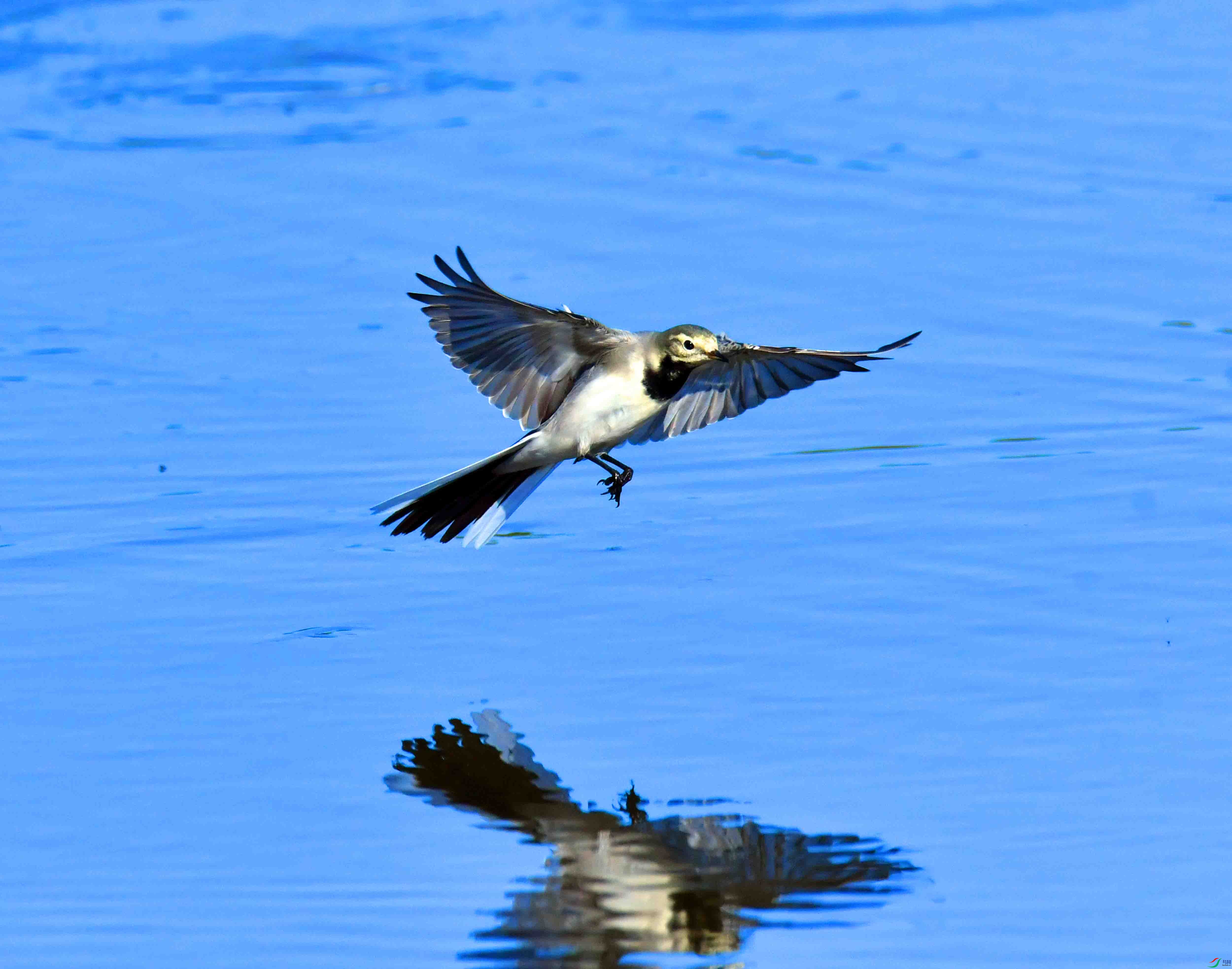 DSC_1524.JPG