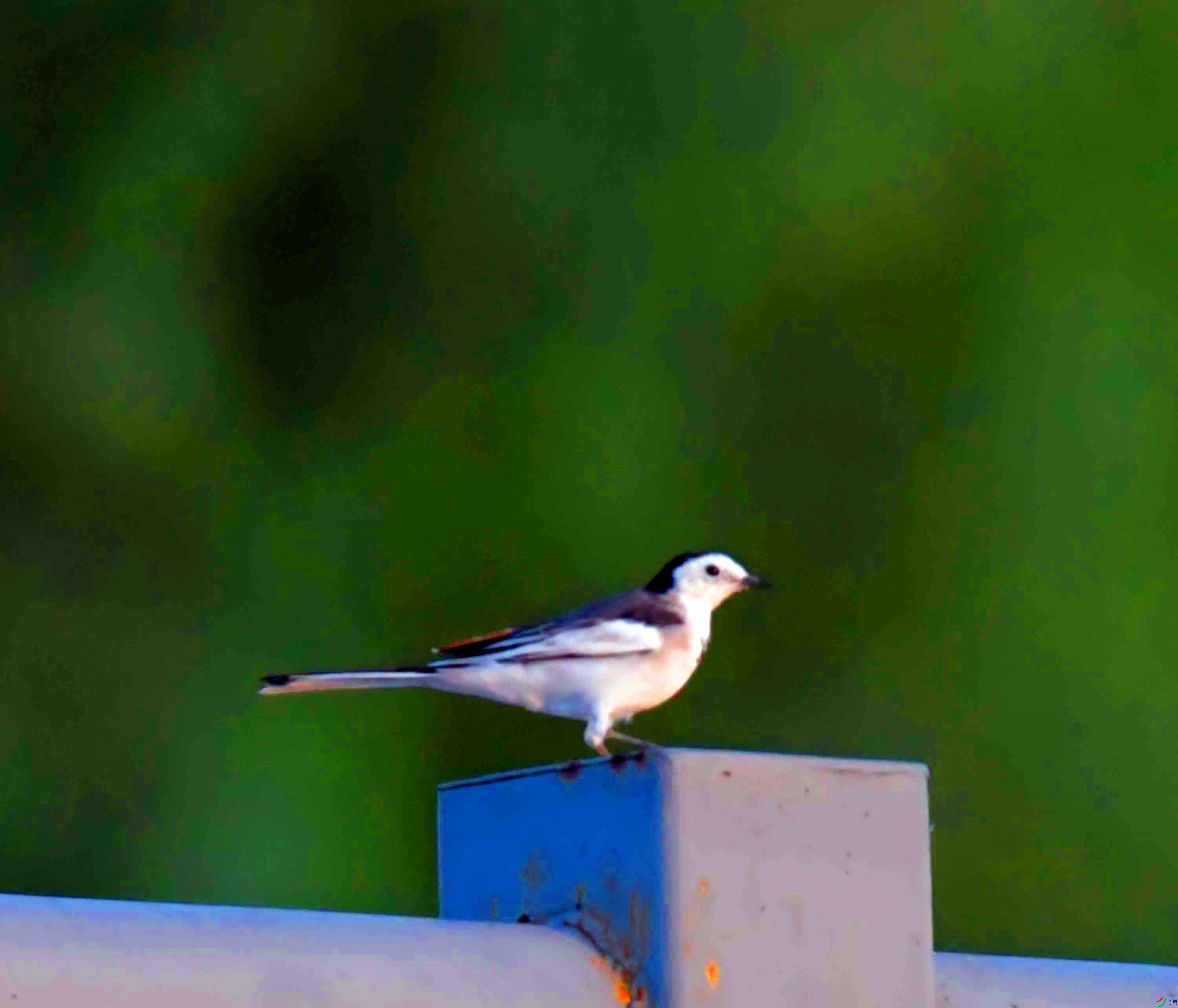 DSC_4339.JPG