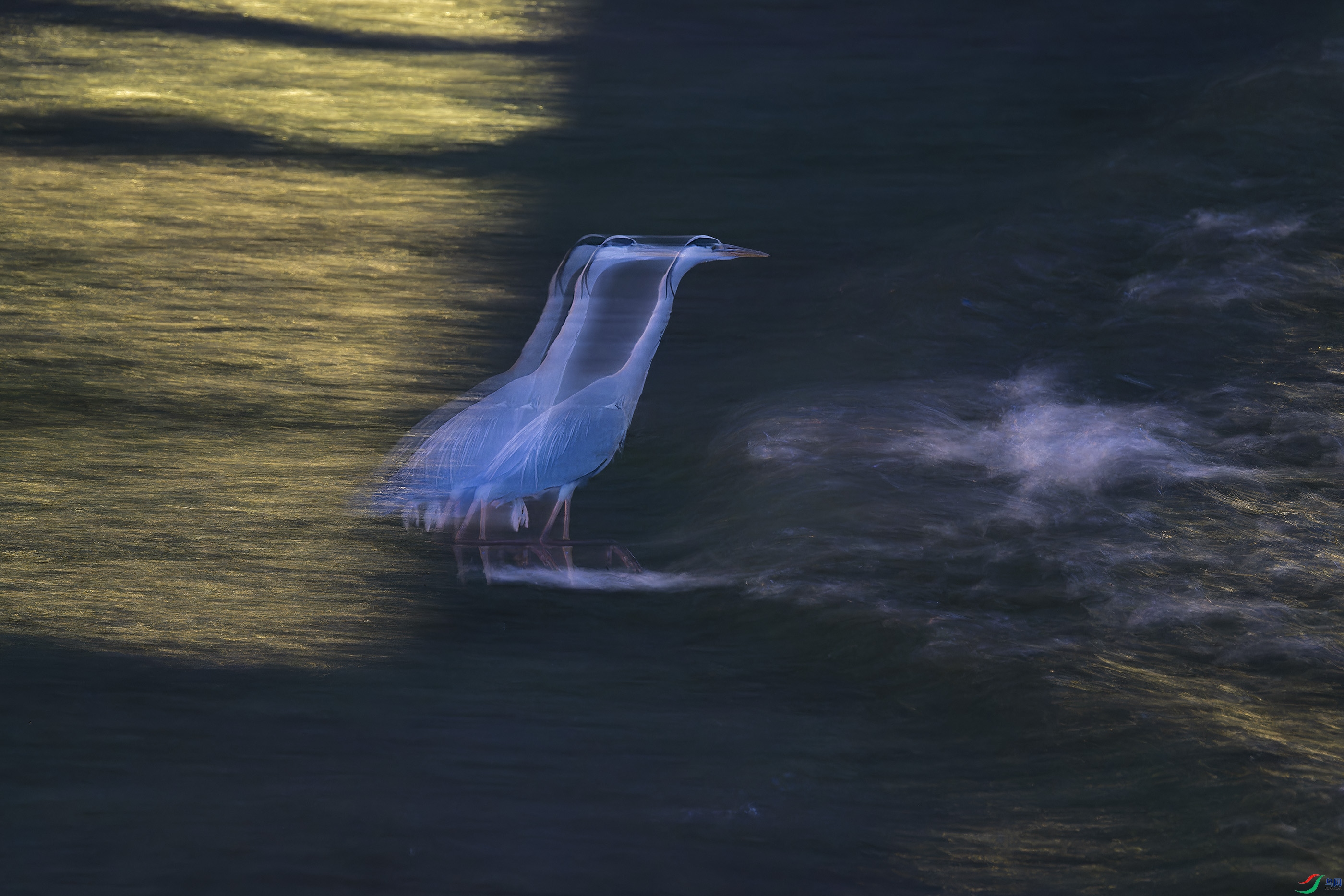 DSC_2261_DxO.jpg