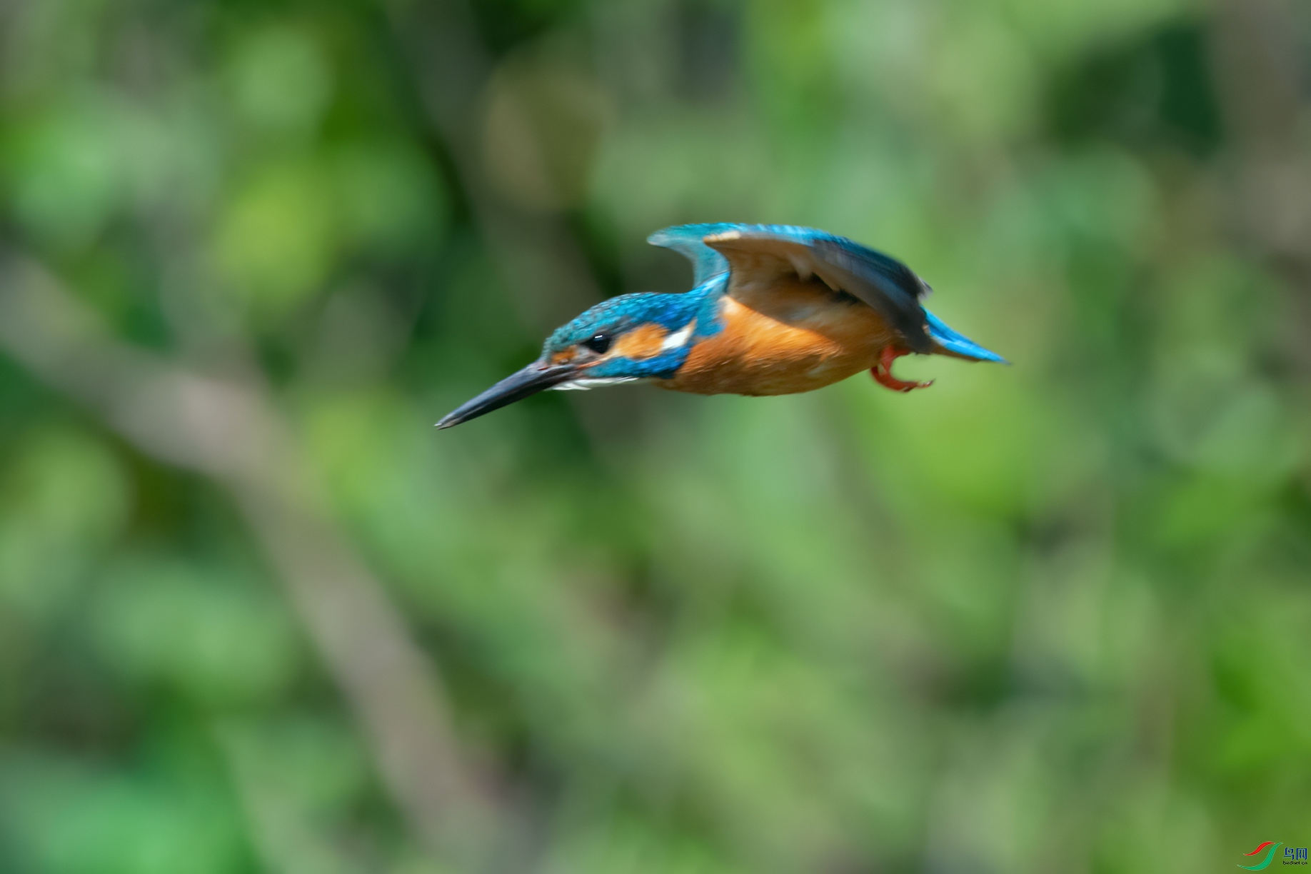 DSC_8839_DxOa.jpg