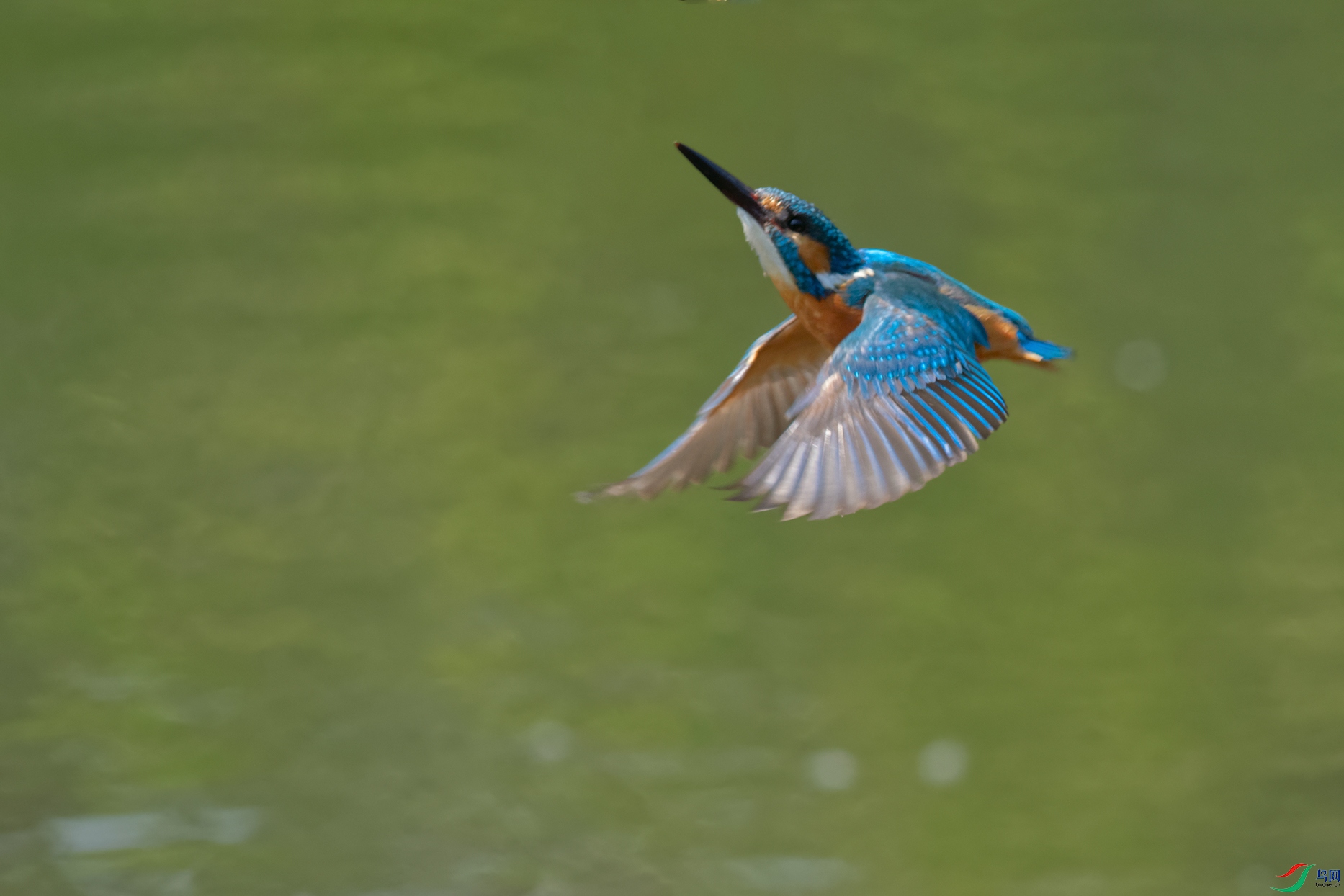 4DSC_9055_DxOa.jpg