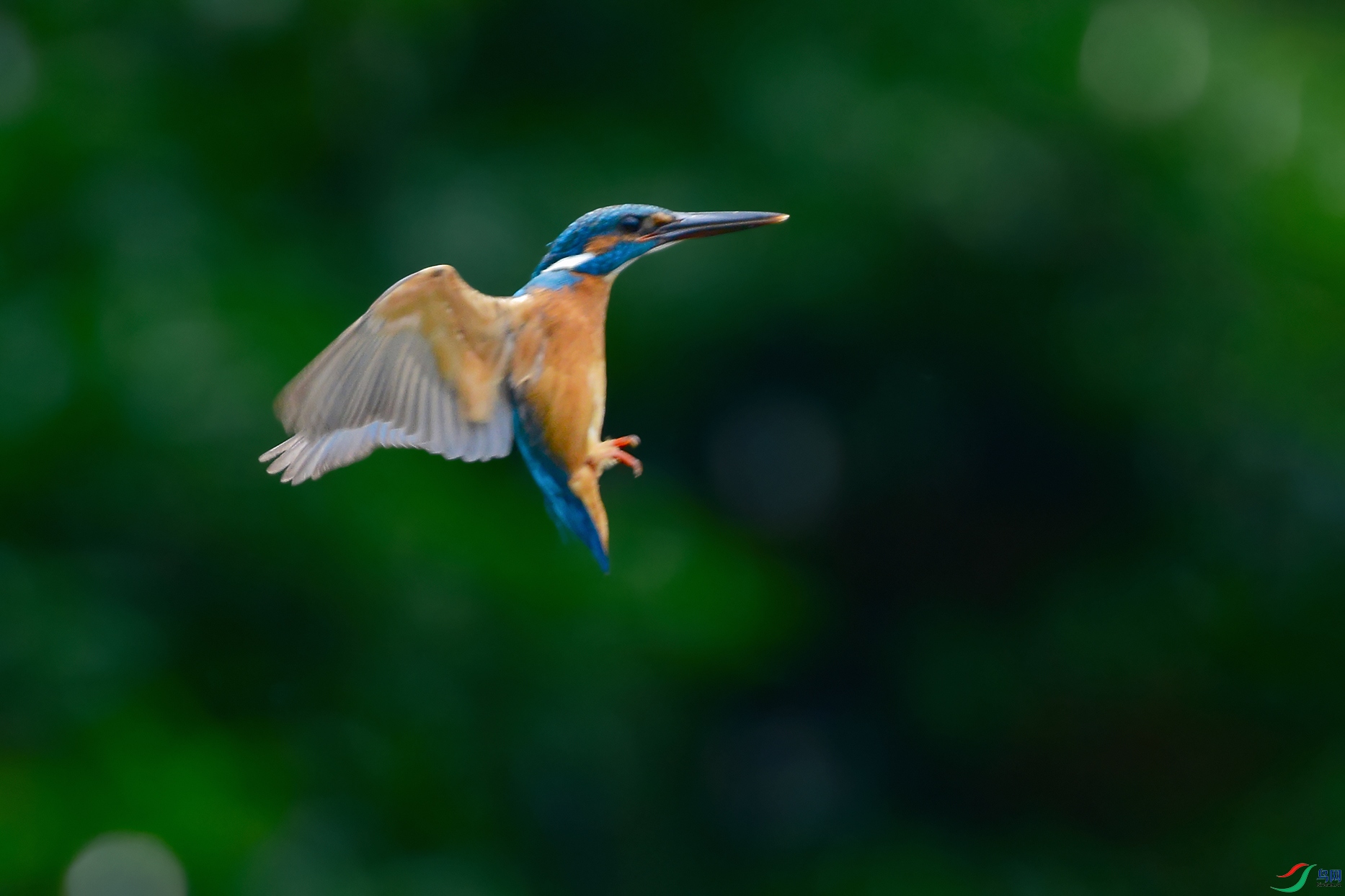 2DSC_9957_DxOa.jpg