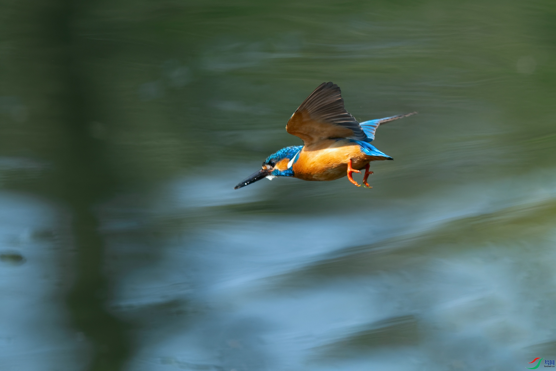 1DSC_8841_DxOa.jpg