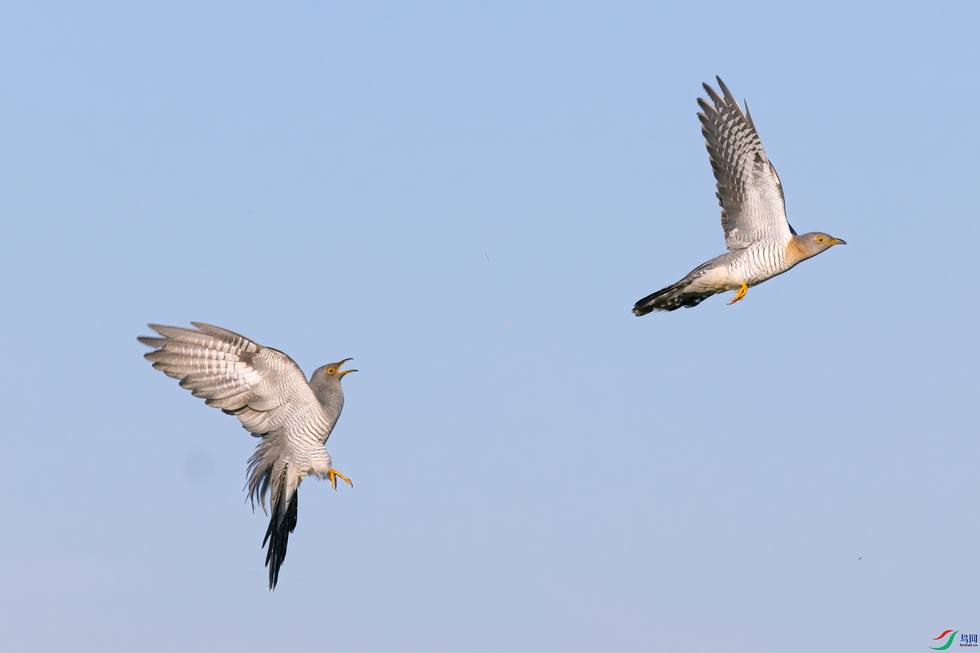 183A2552.jpg
