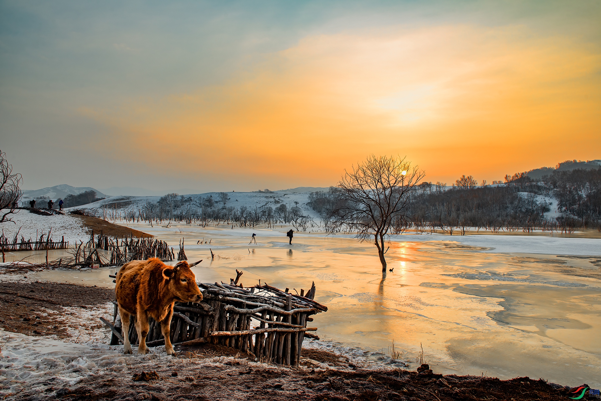 _DSC5175- ����ůˮ���ճ�AAA.jpg