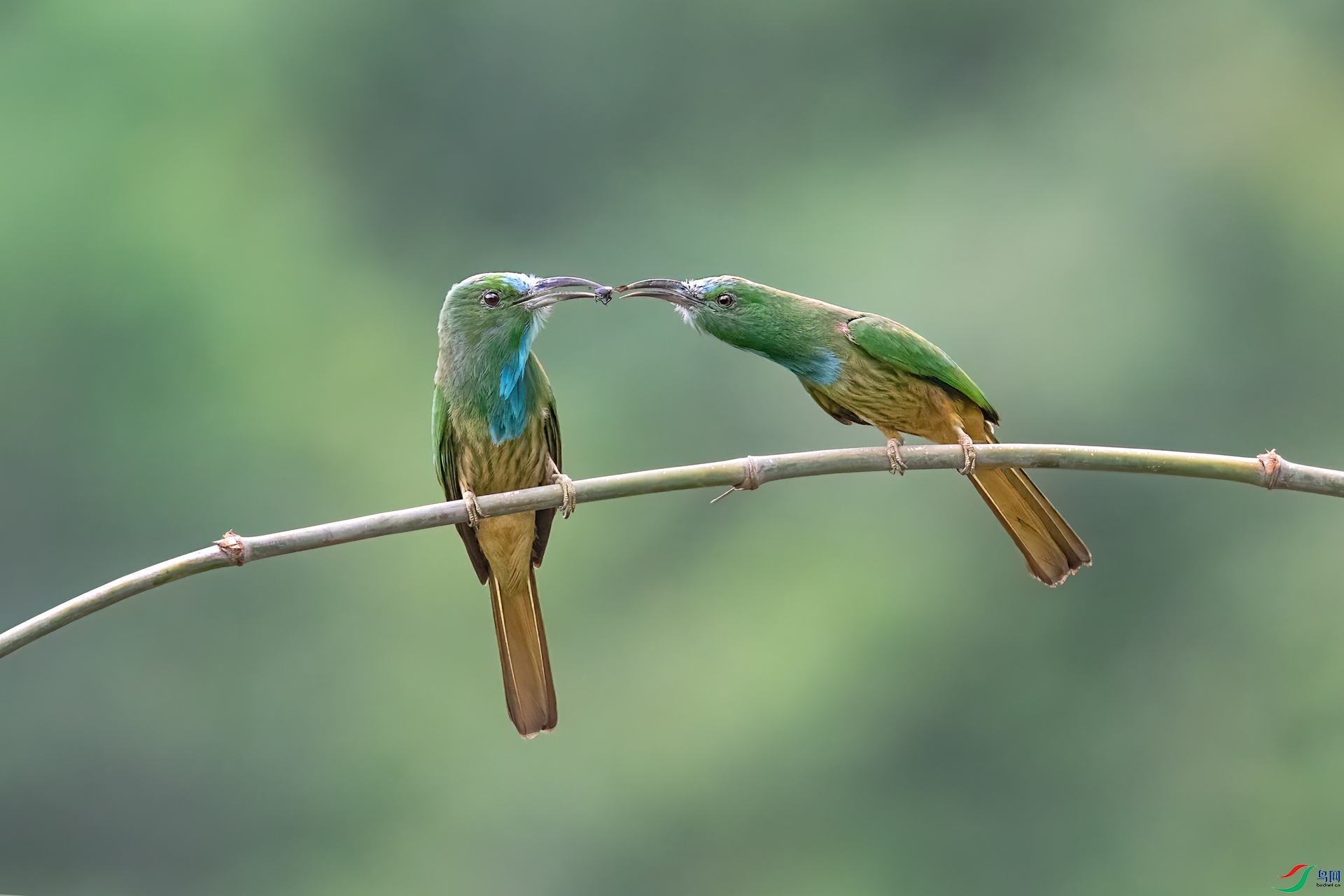 DSC_8644.jpg
