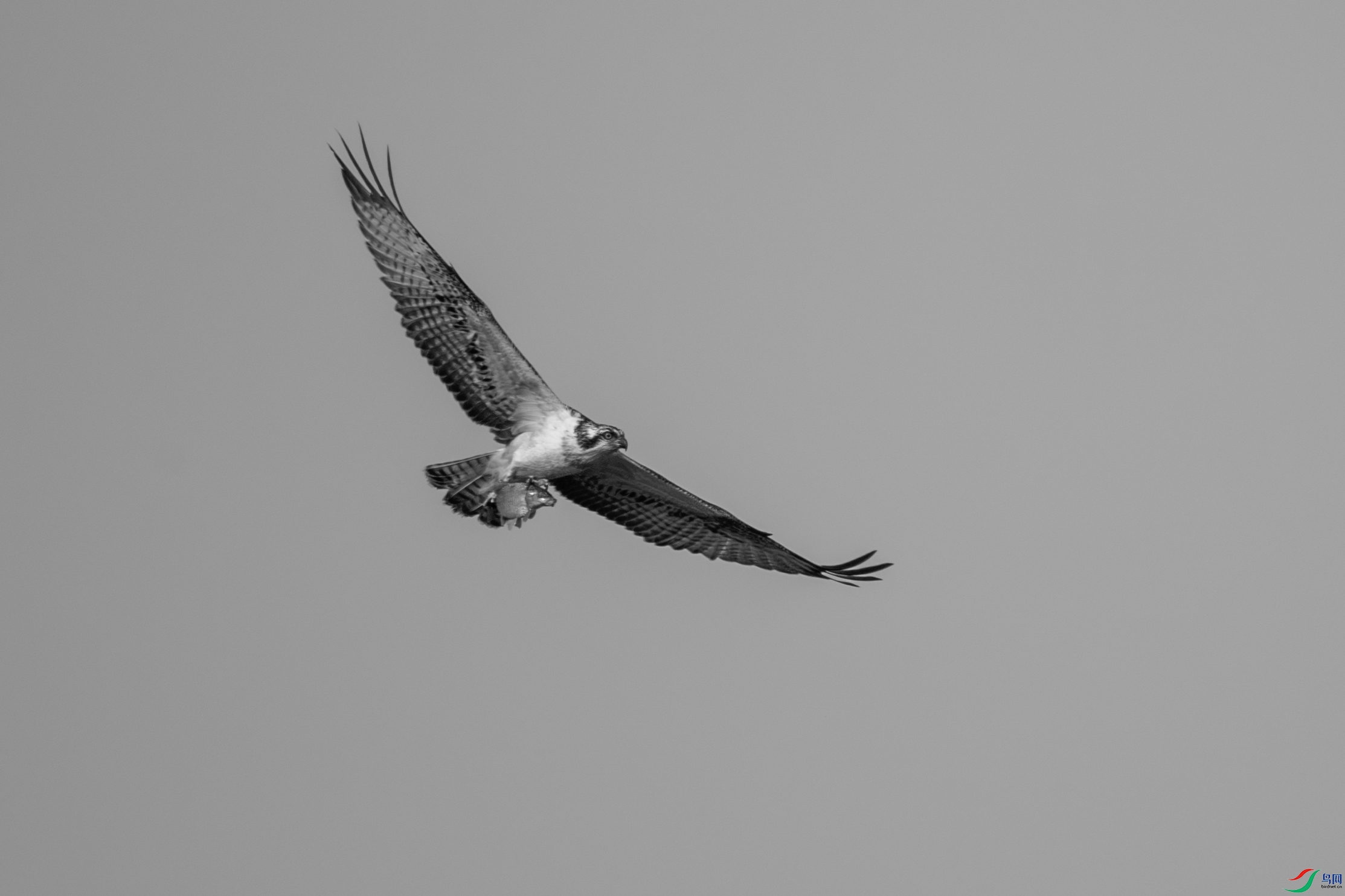 DSC_2282-����.jpg