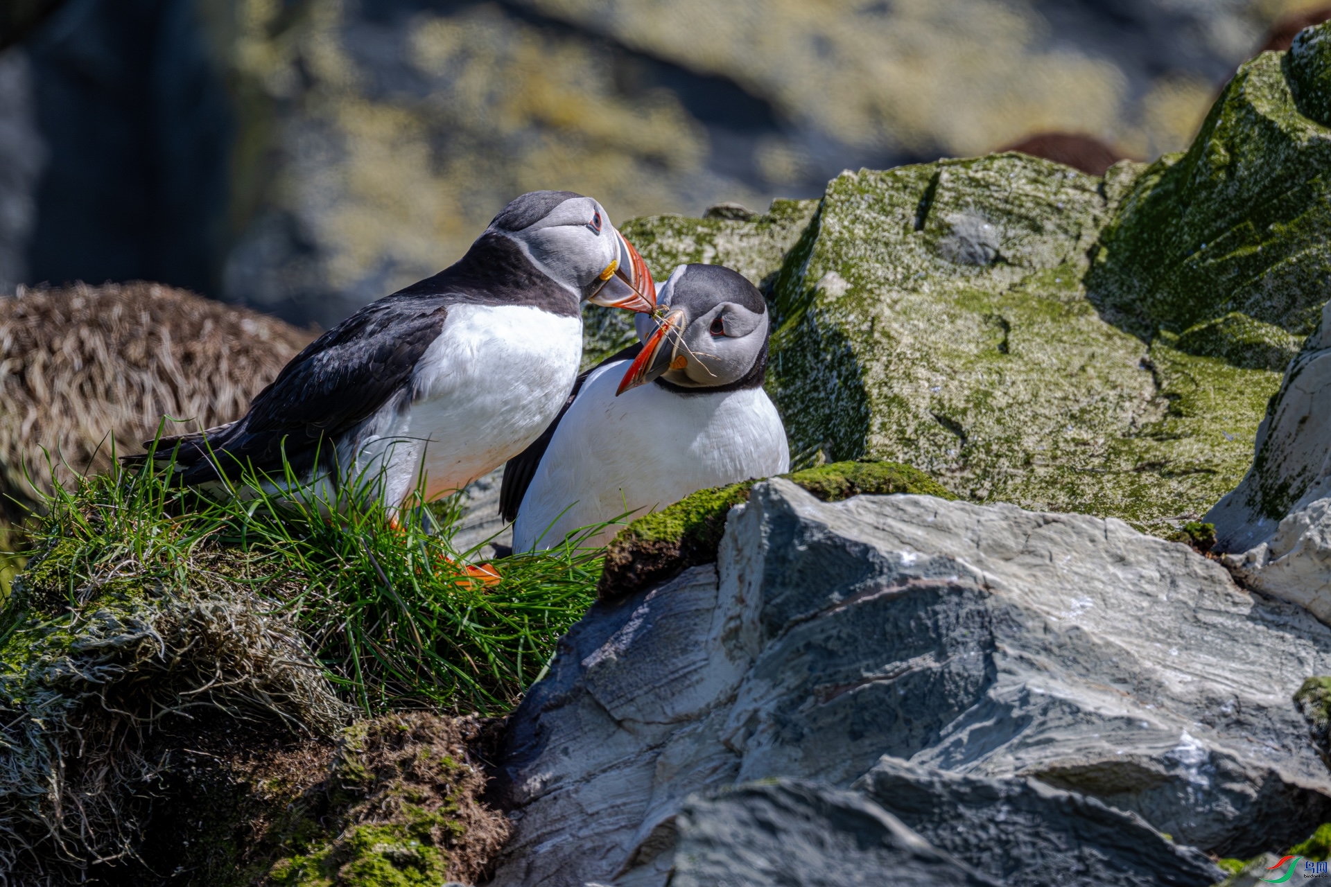 DSC_5367.jpg