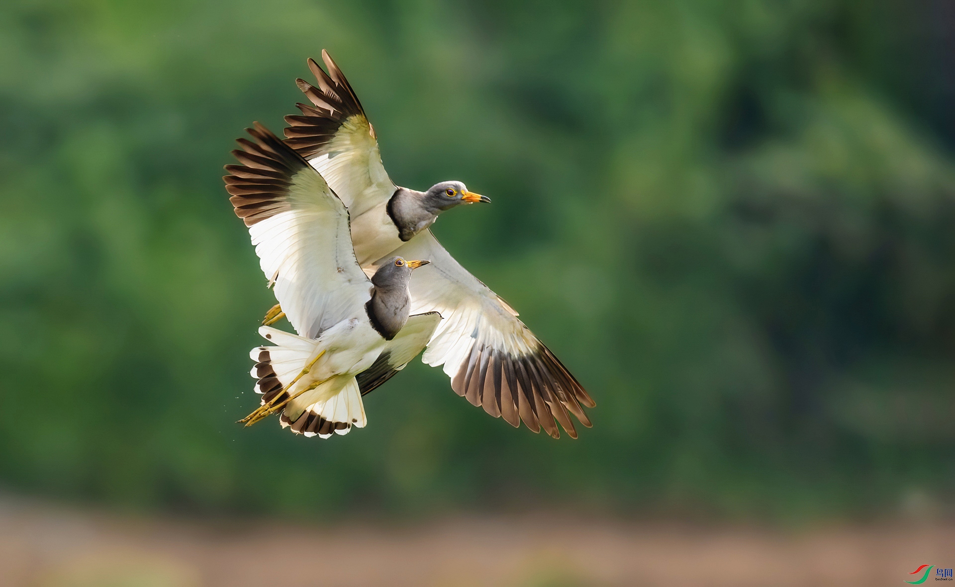 0L7A0942��.jpg