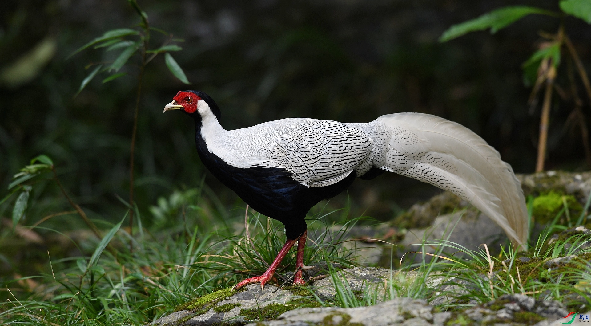 DSC_5352.jpg