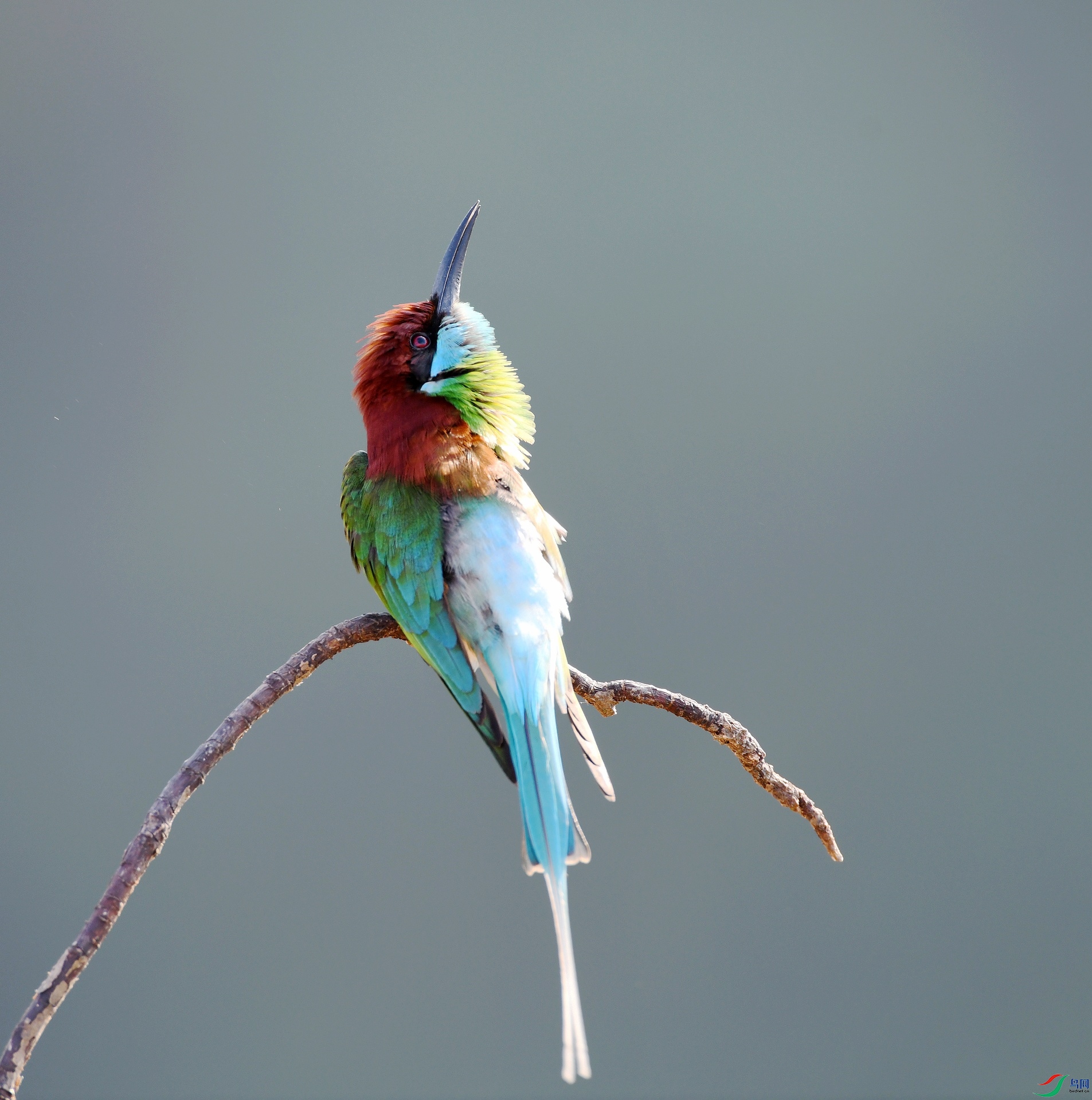 DSC_3919.jpg