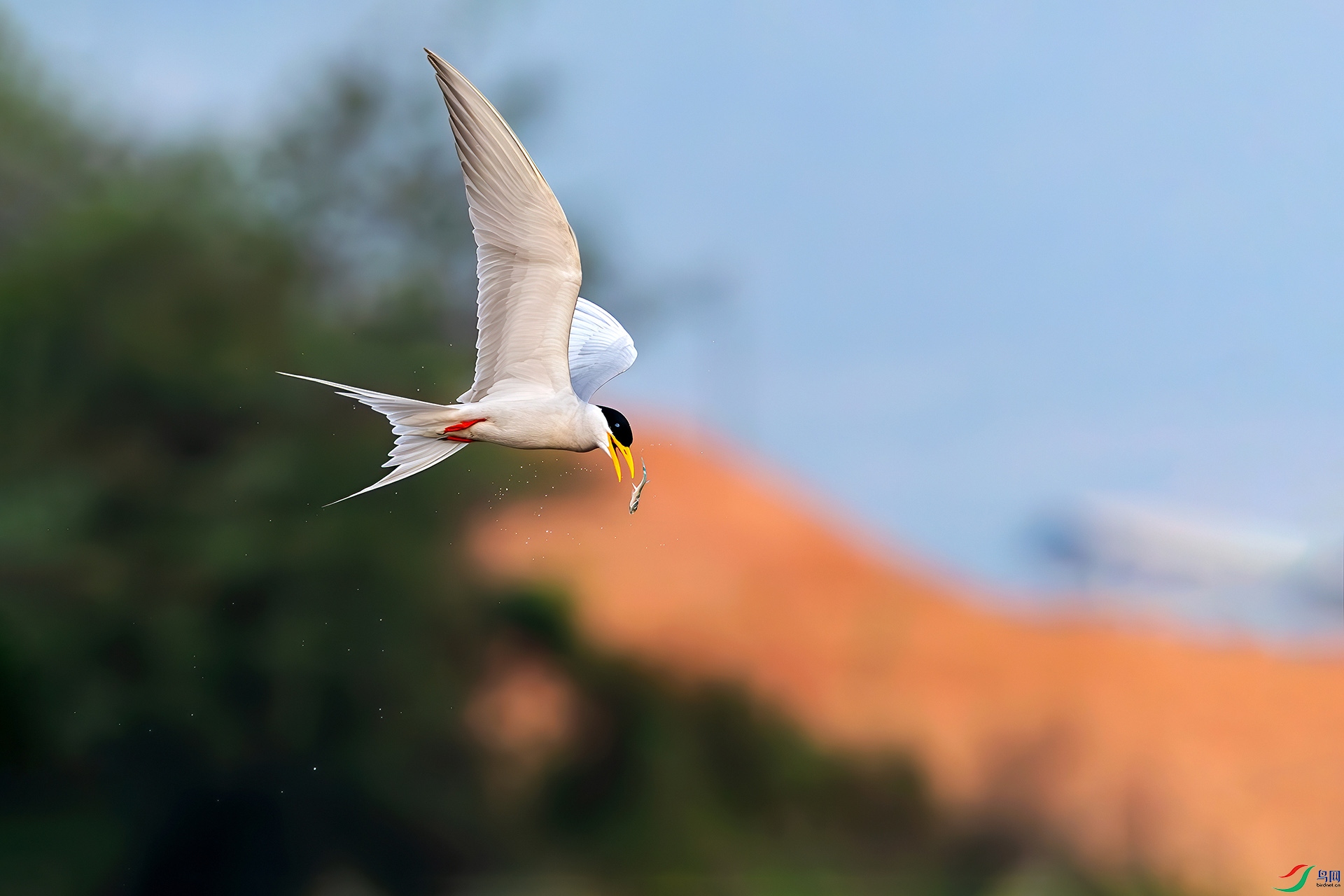 0D1A7683-8.jpg