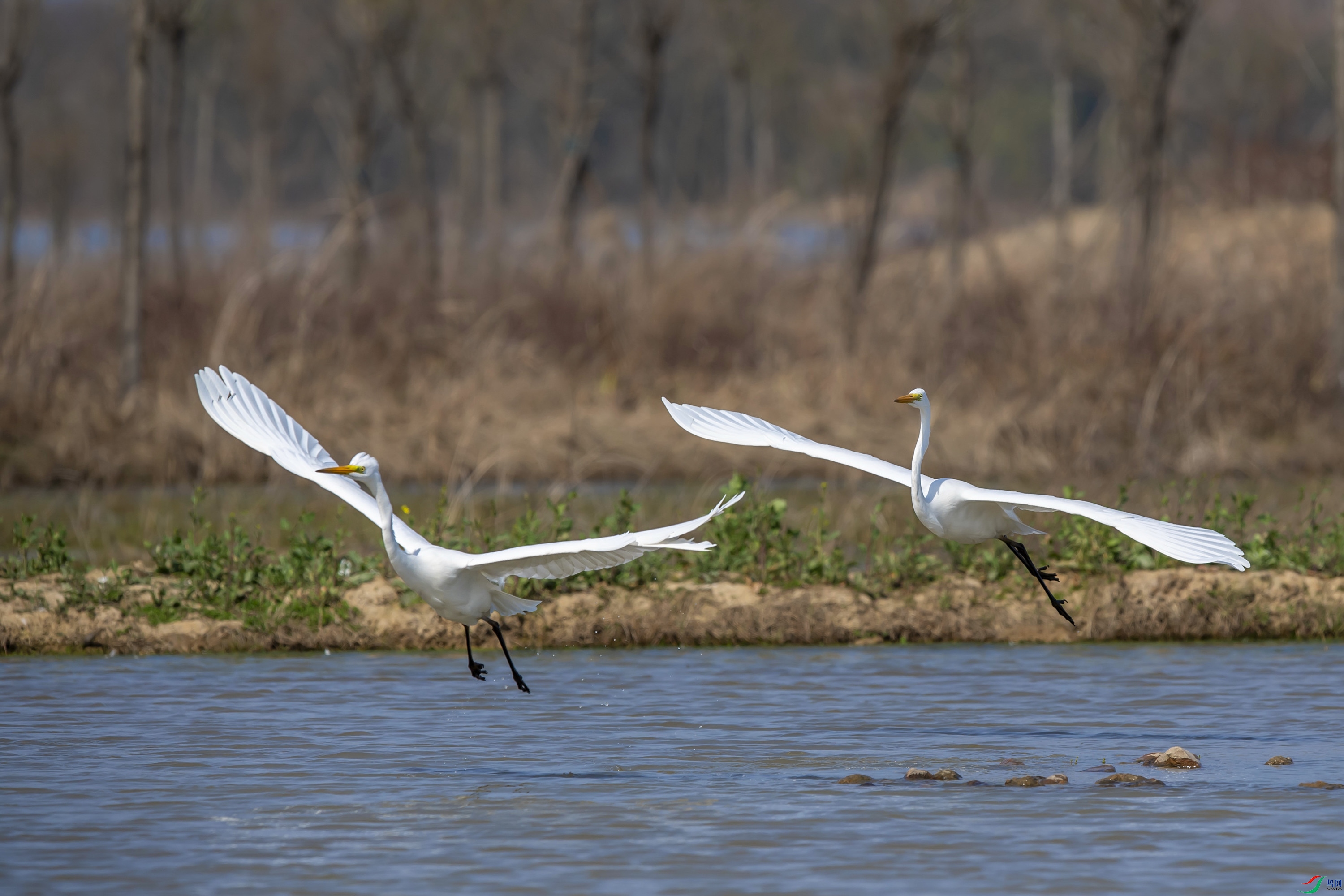 DSC_0770.jpg