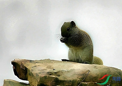DSC07450_����.jpg