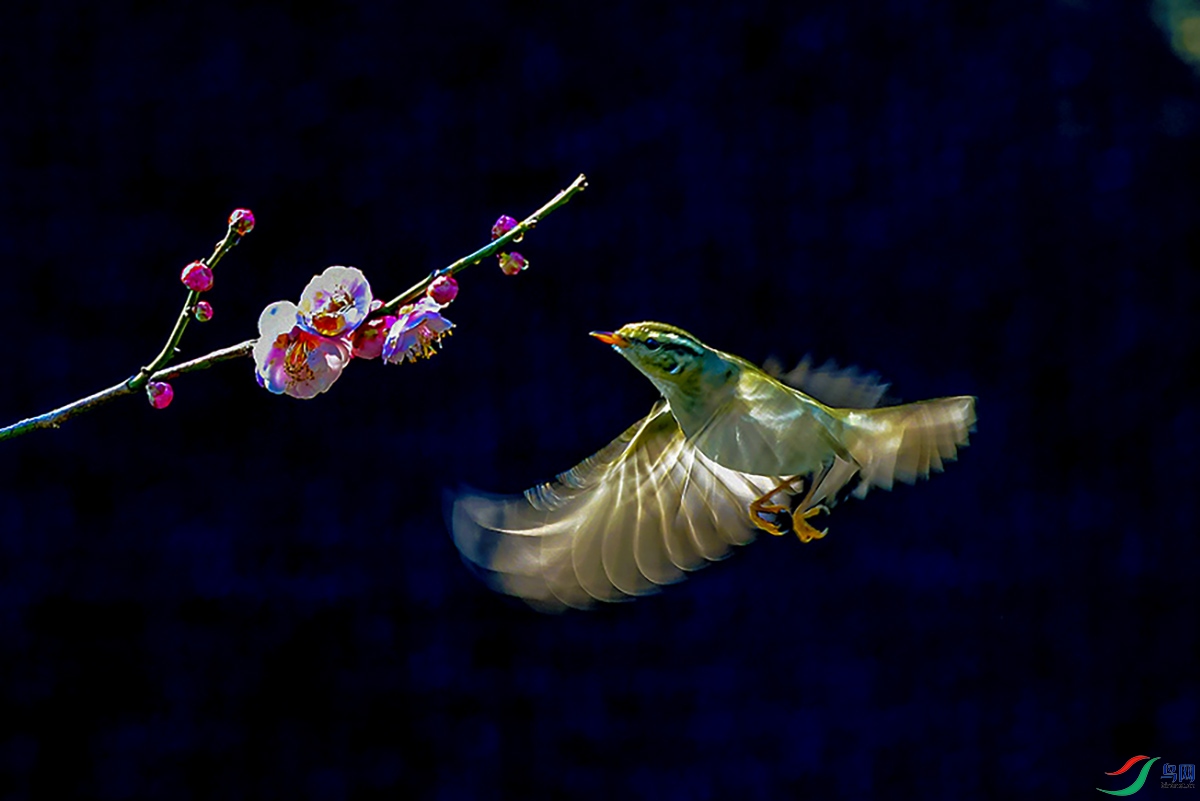 DSC_9674`.jpg