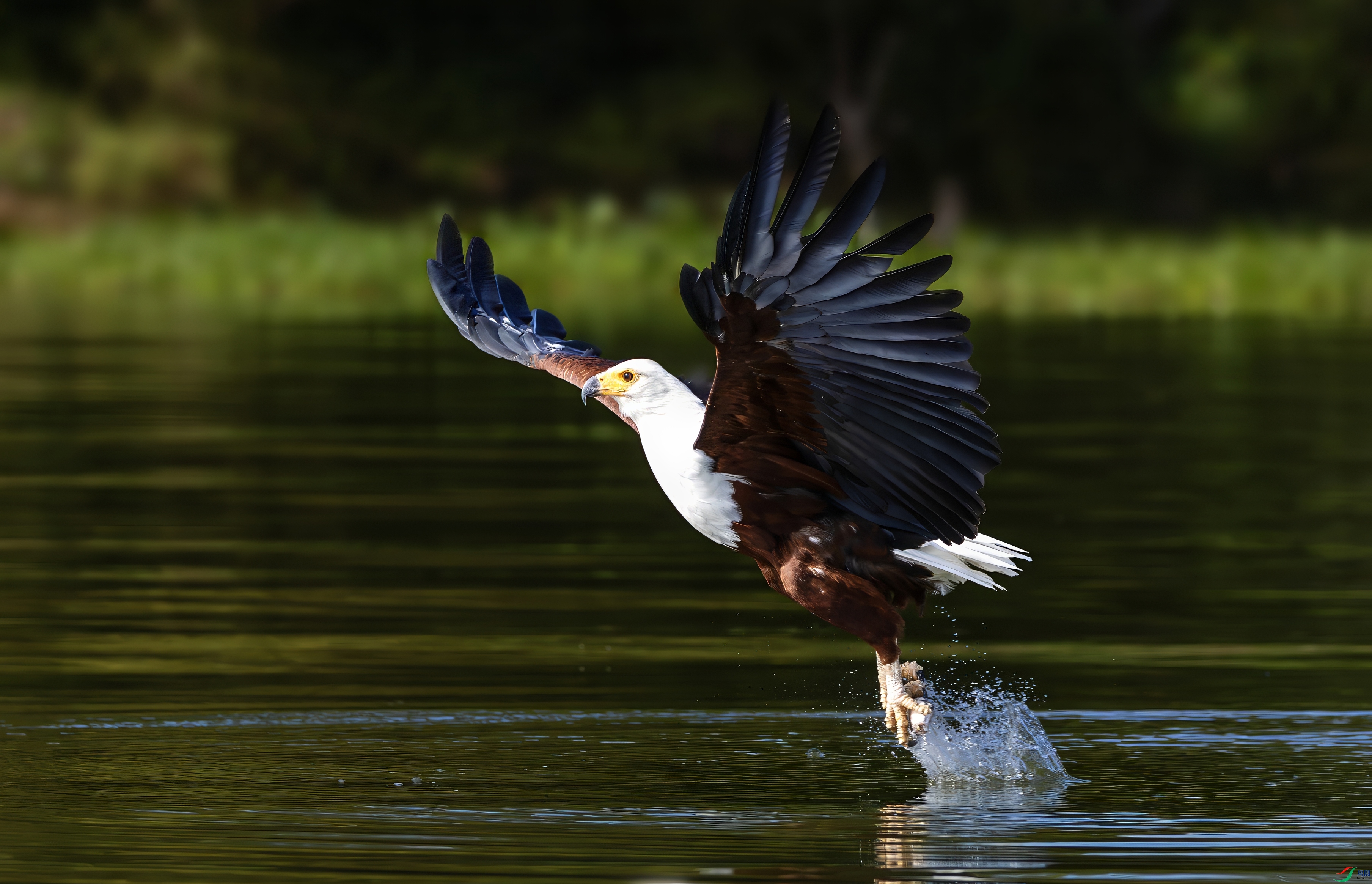 _08A8413-topaz-denoise.jpeg
