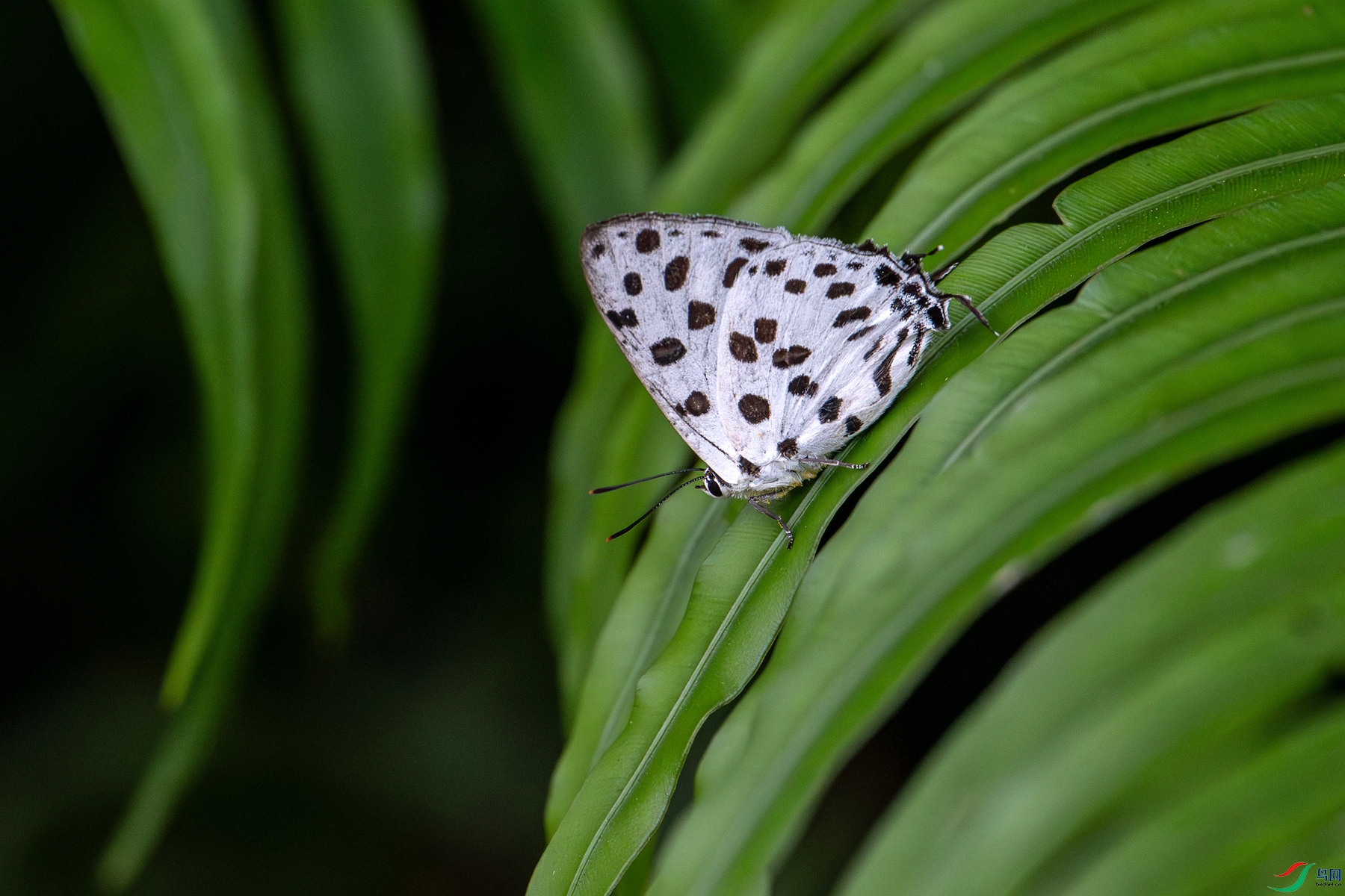 DSC_9040_����.jpg