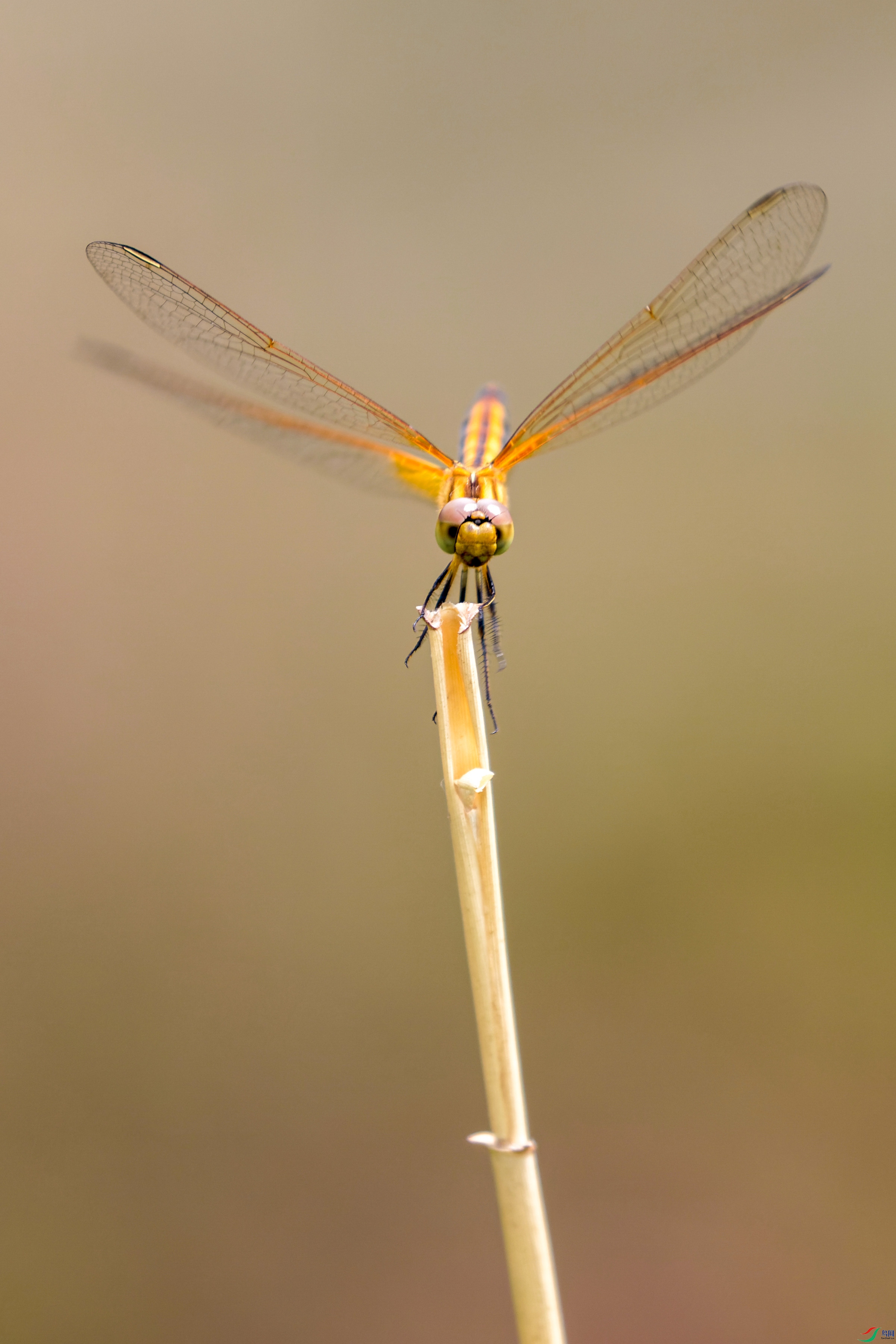 7D2_2400-CR2_DxO_DeepPRIME-1.jpg