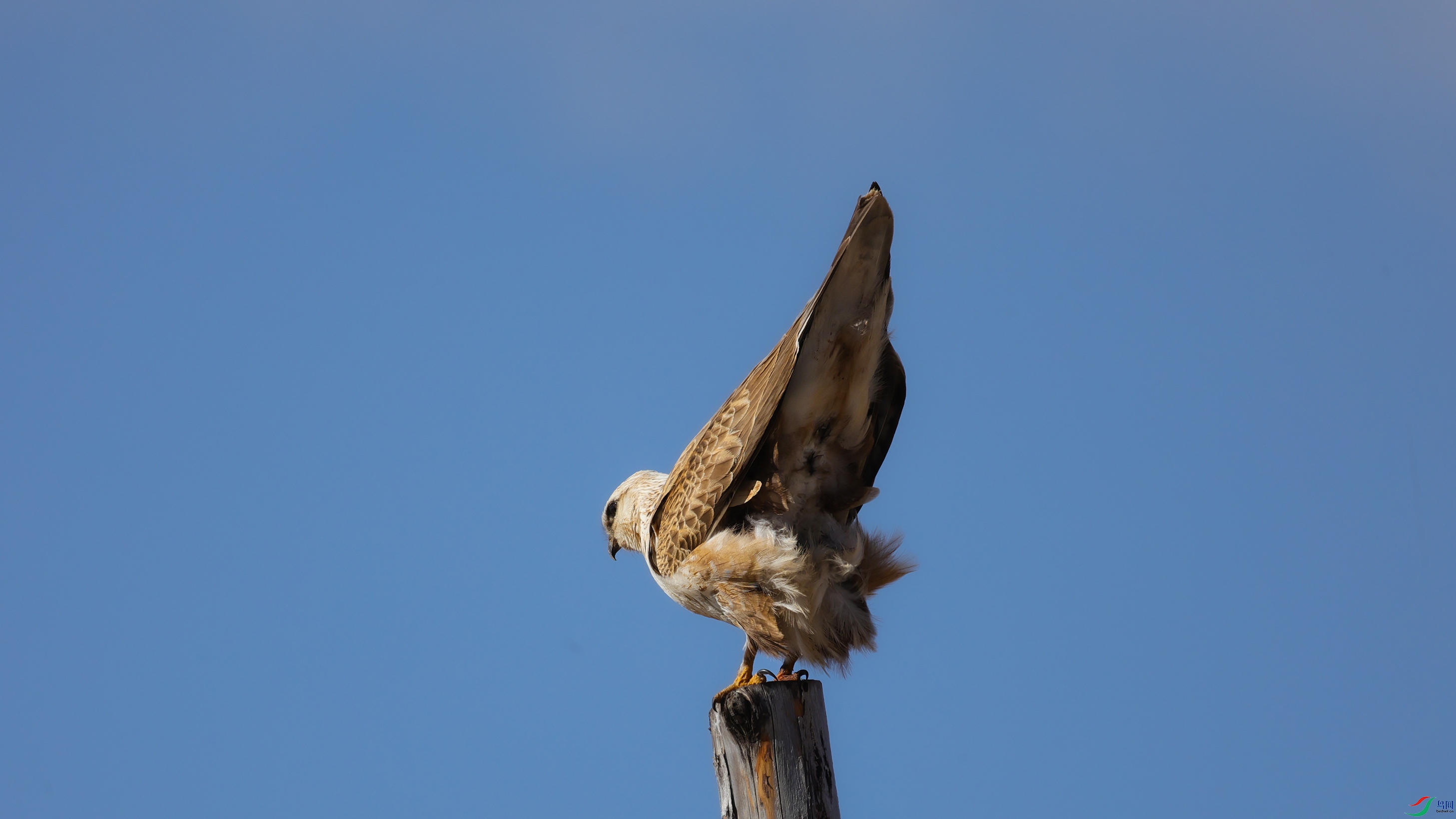 7X5A7359.jpg