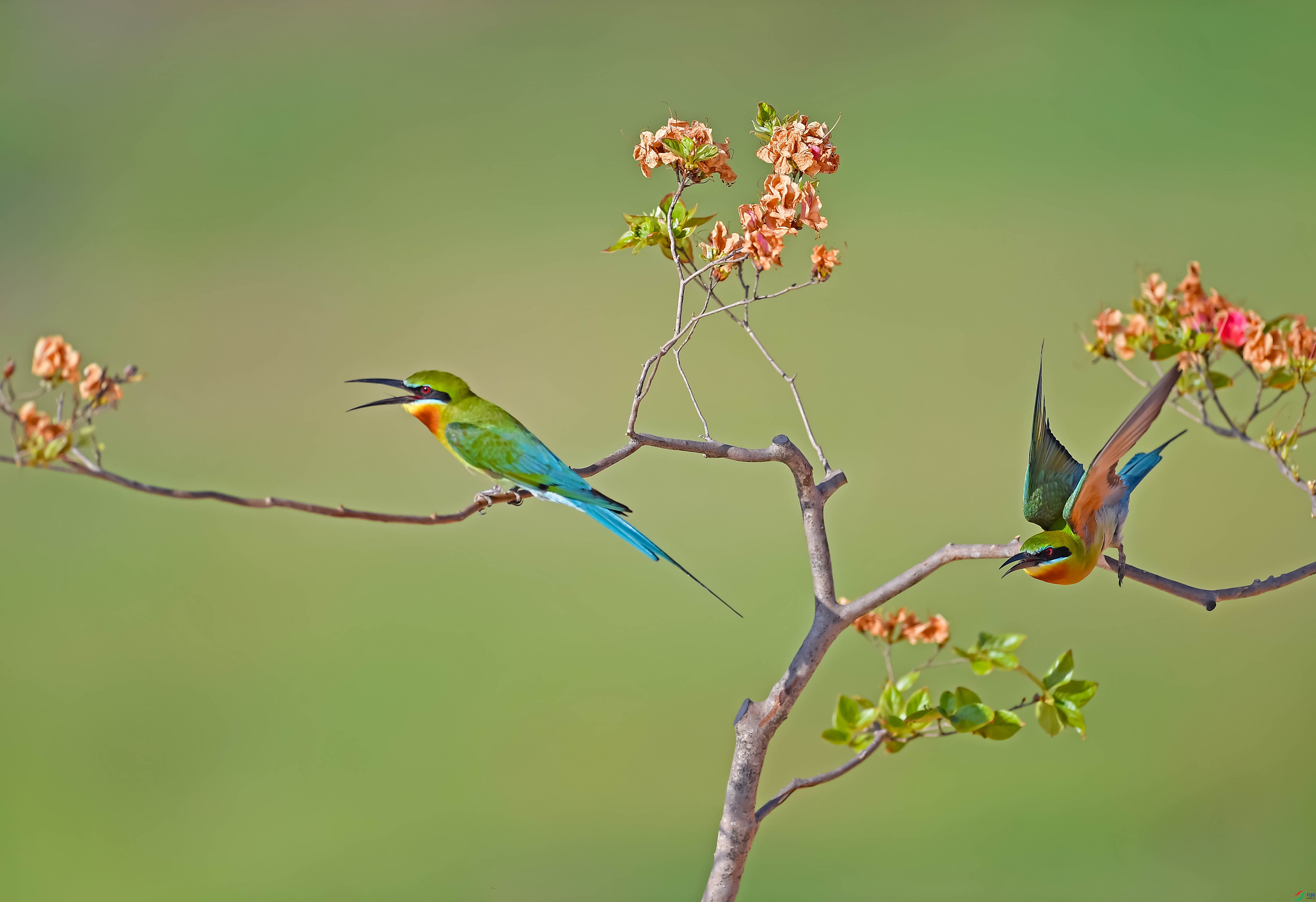 DSC_7964.jpg