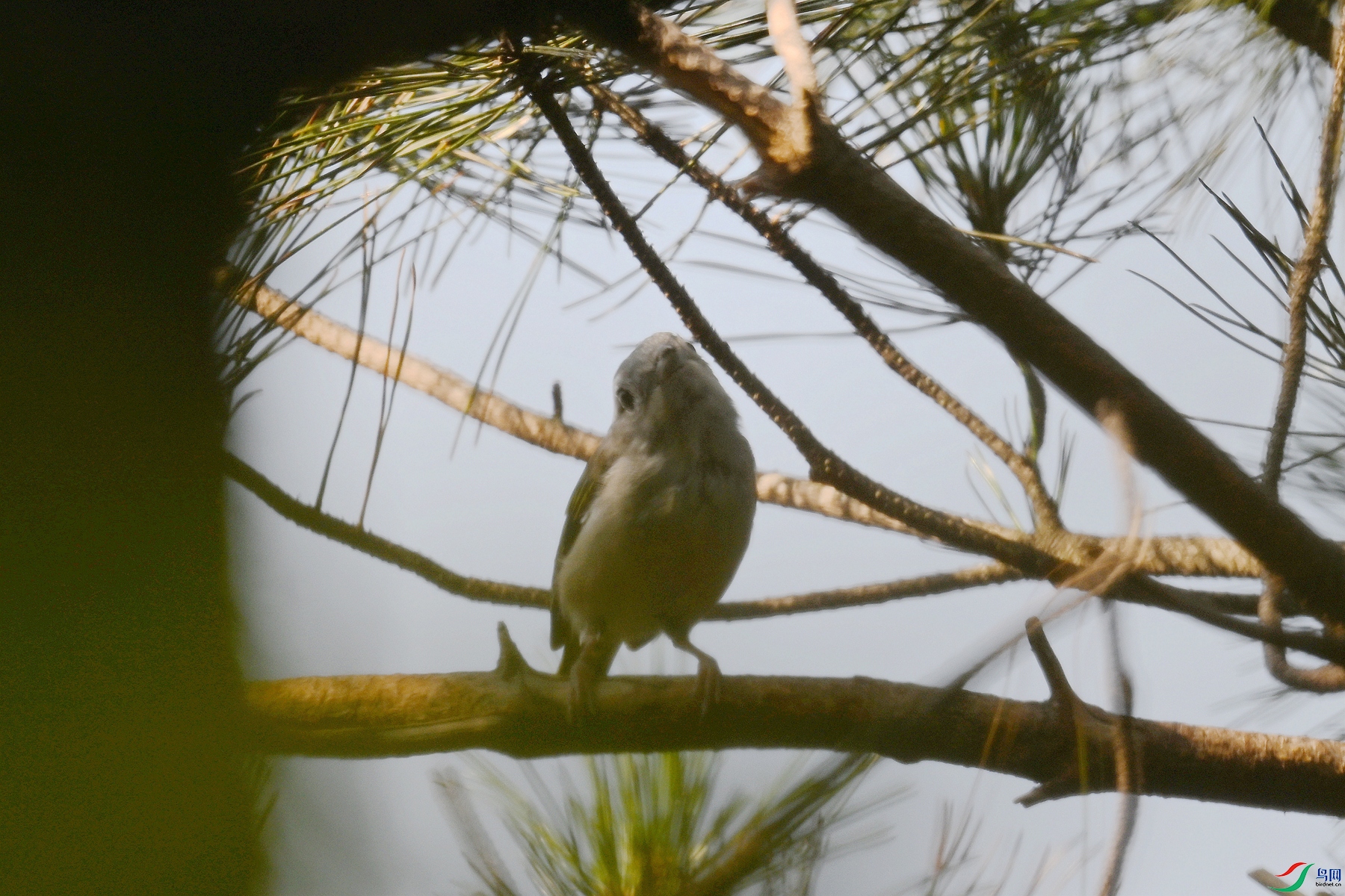 DSC_4372.JPG