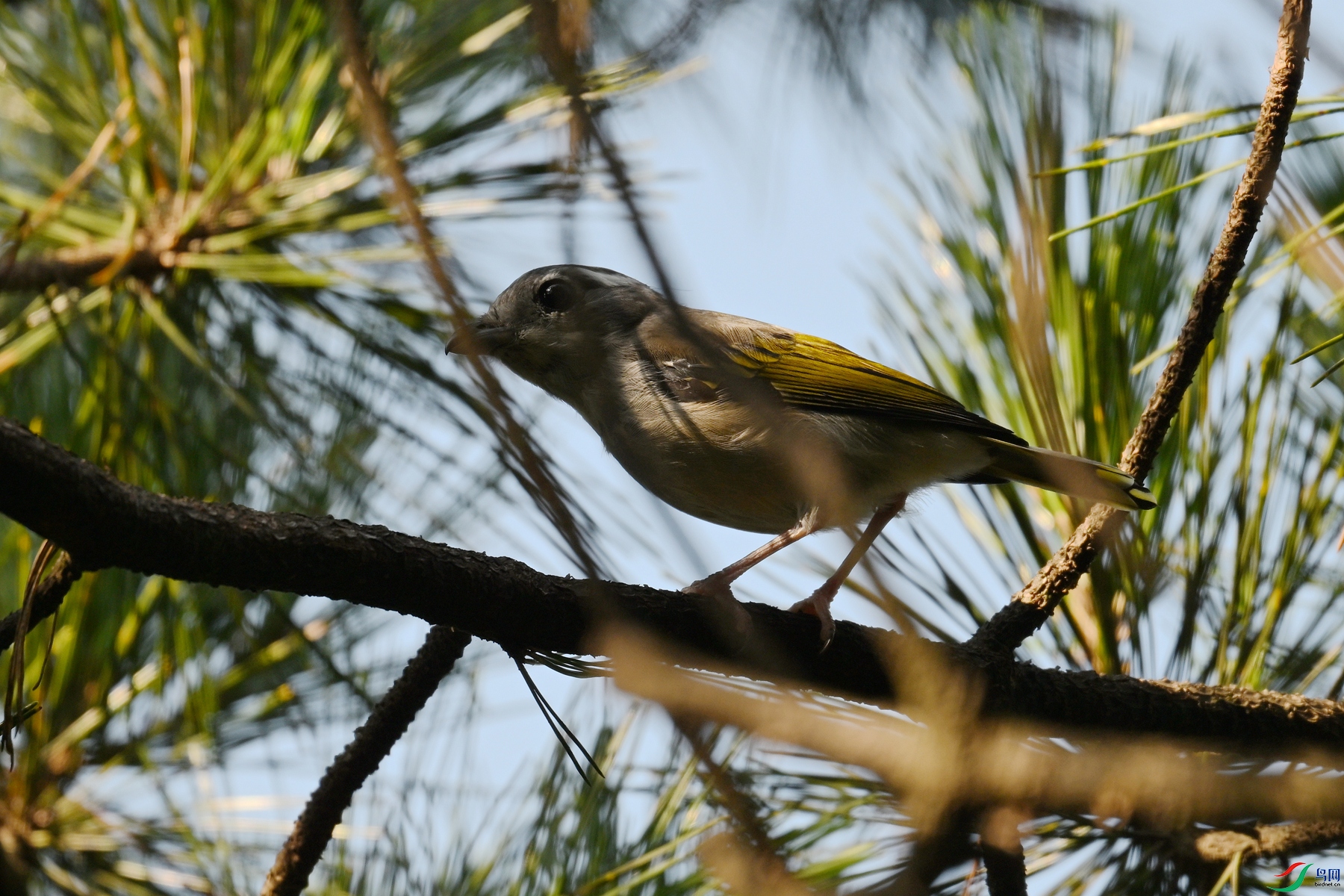 DSC_4379.JPG