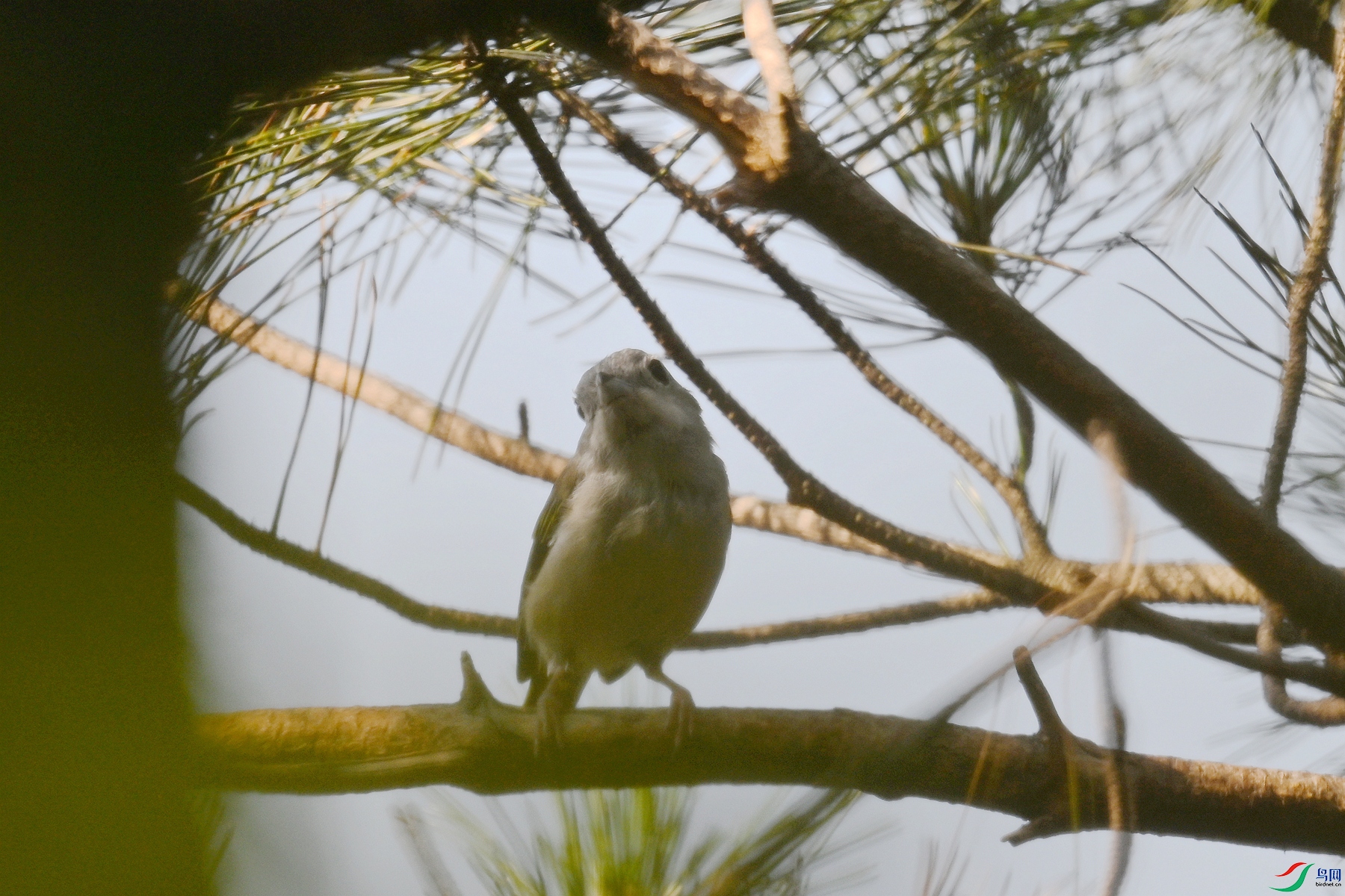 DSC_4373.JPG