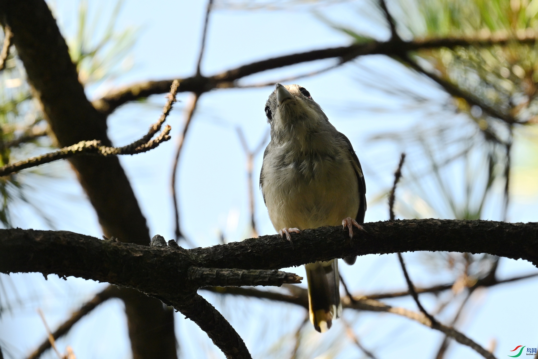 DSC_4380.JPG