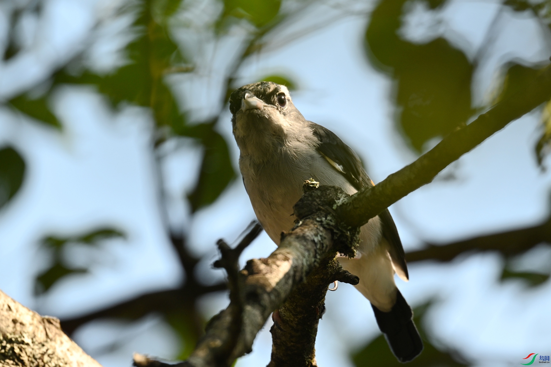 DSC_4387.JPG