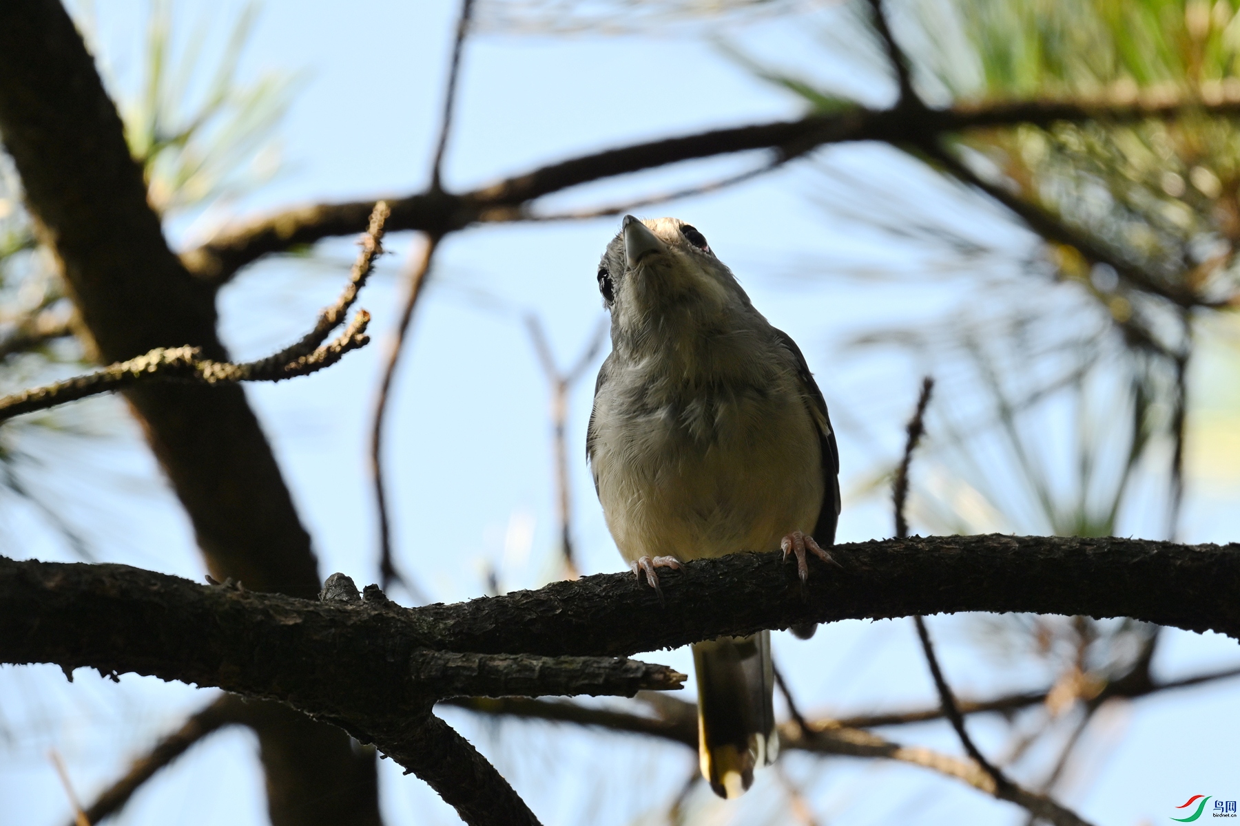 DSC_4381.JPG
