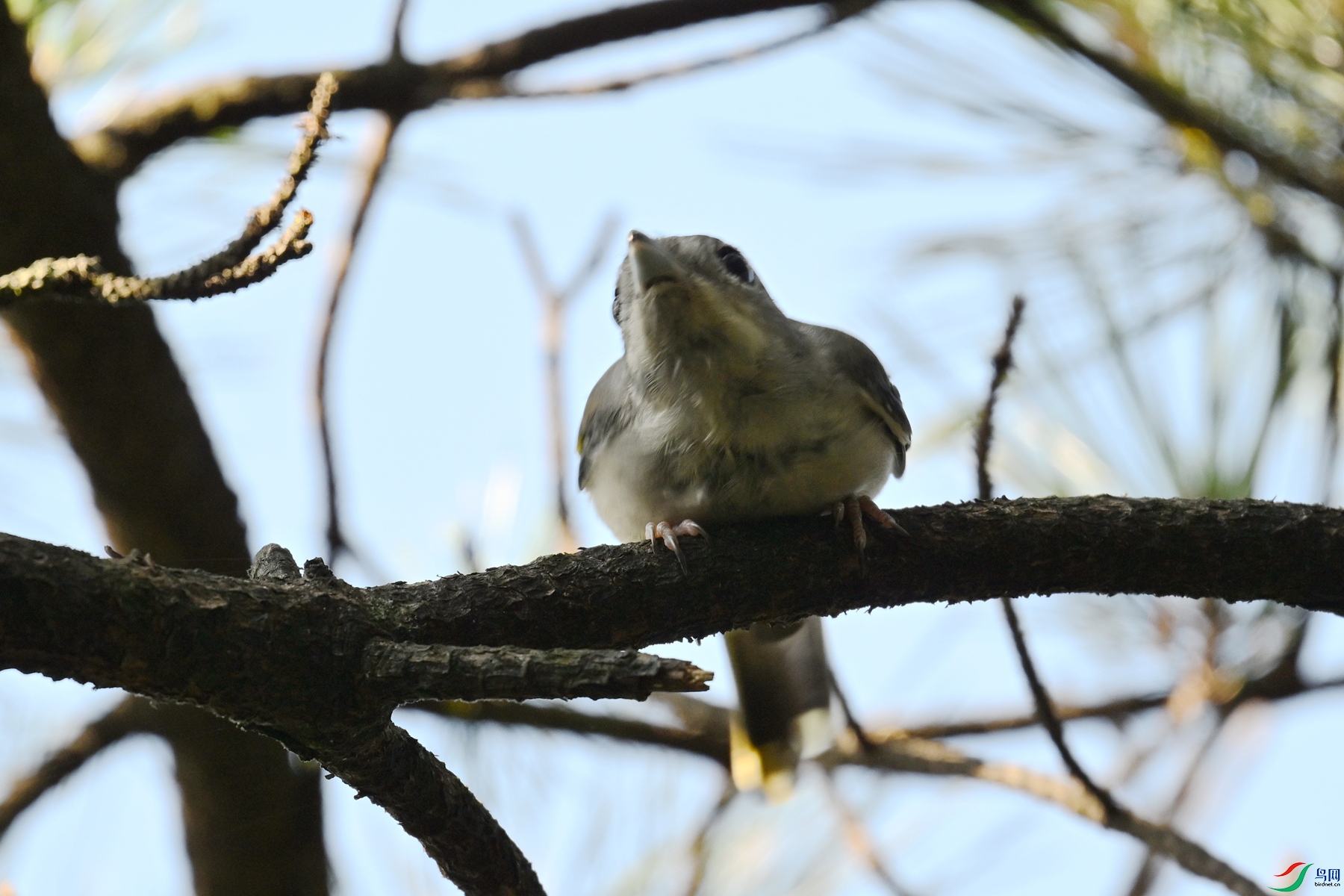 DSC_4382.JPG