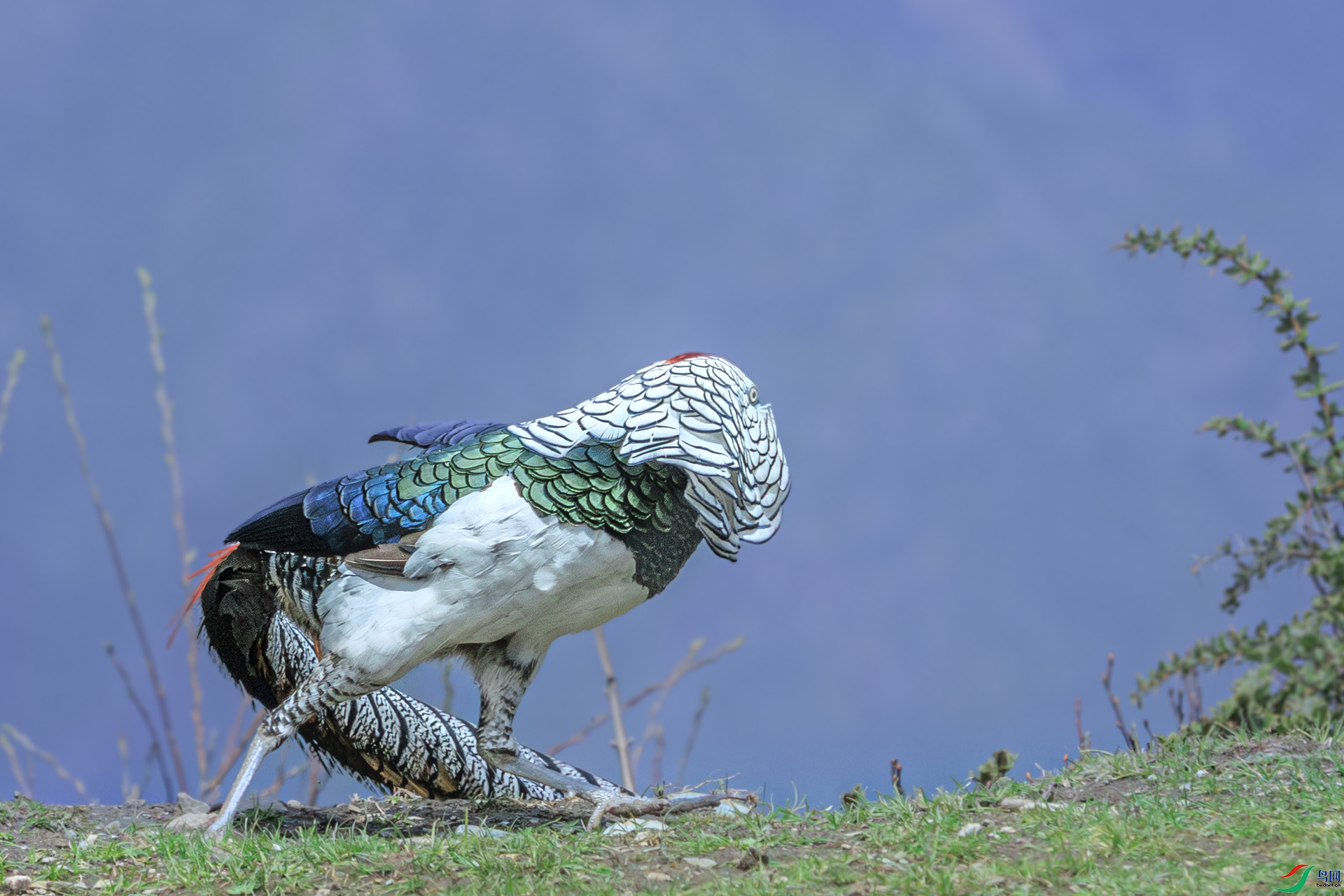 �׸�����089A8915.jpg