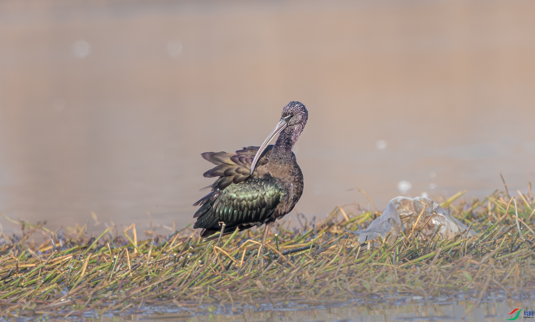 ���q1M5A6851.jpg