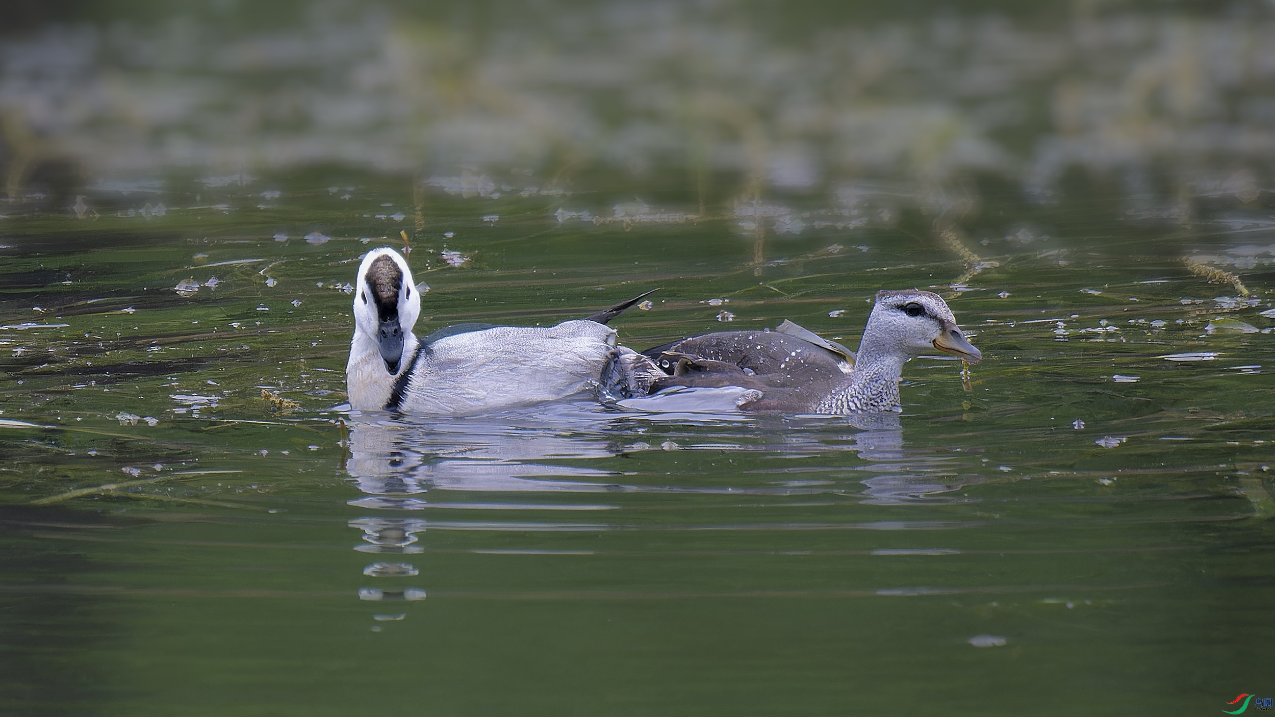 DSC_3896_DxO.jpg