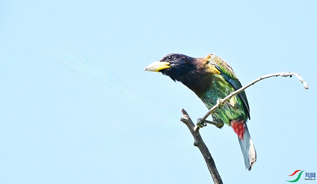 DSC_0257.JPG