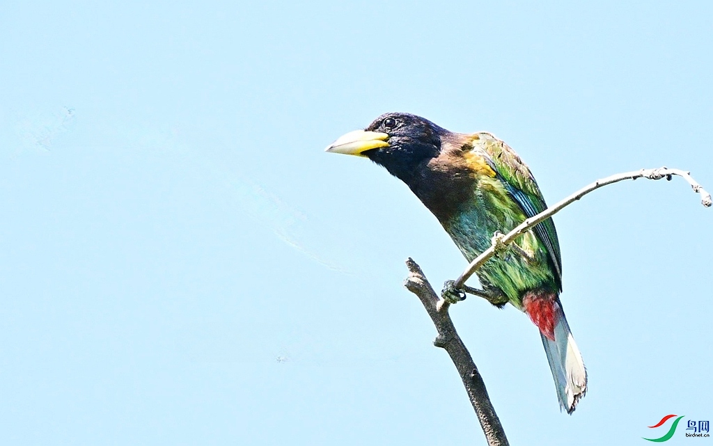 DSC_0264.JPG
