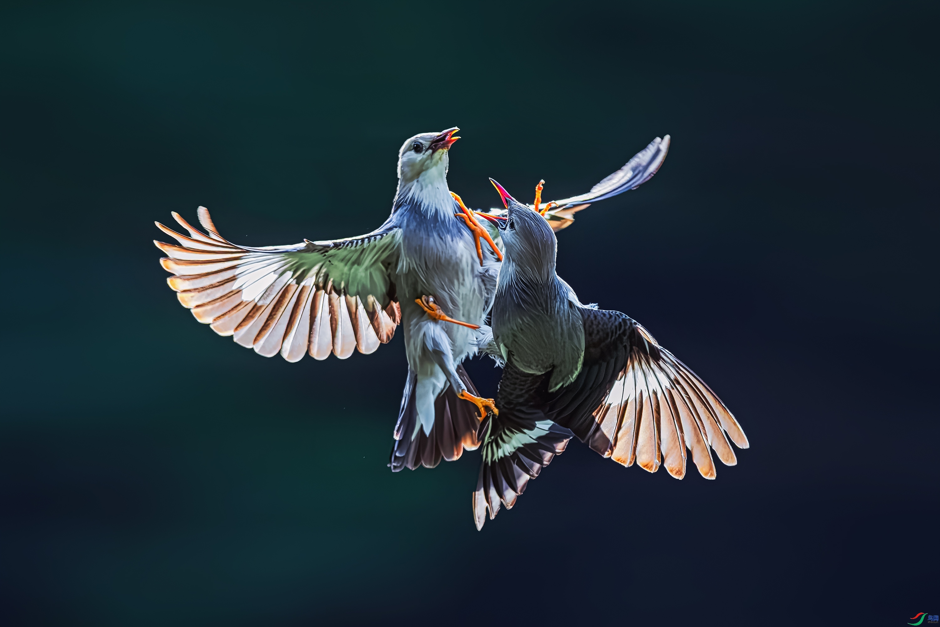 5.21 ��������ʦ��Ʒ  ��������  �ٻ�2026��5��21�հ�����ҳ����.jpg