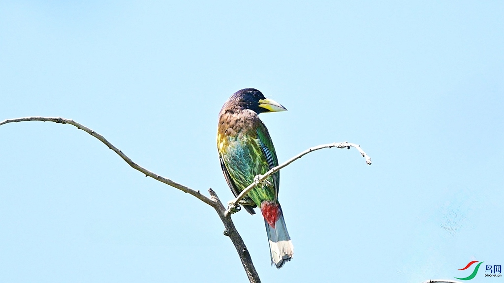 DSC_0308.JPG