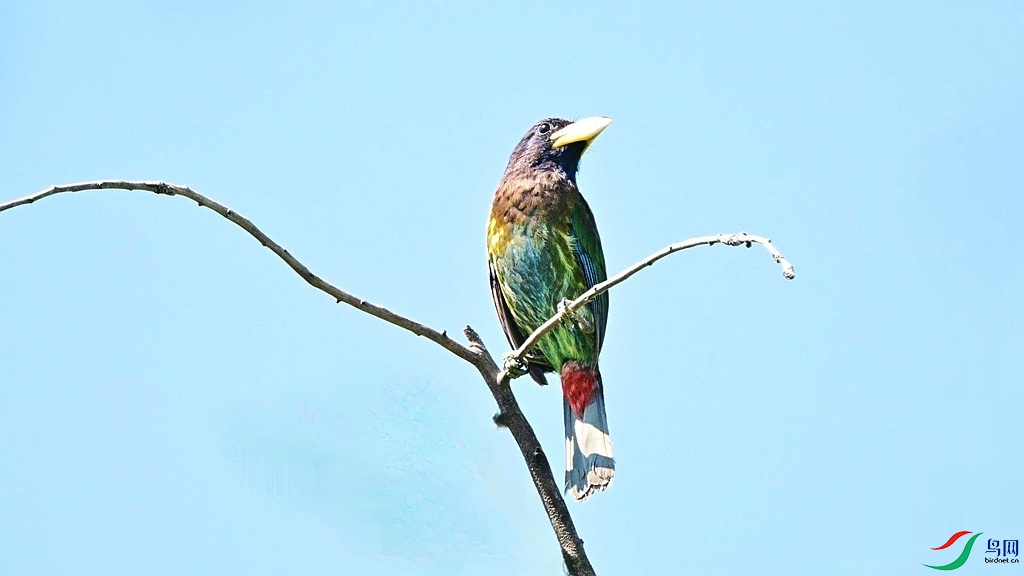 DSC_0337.JPG
