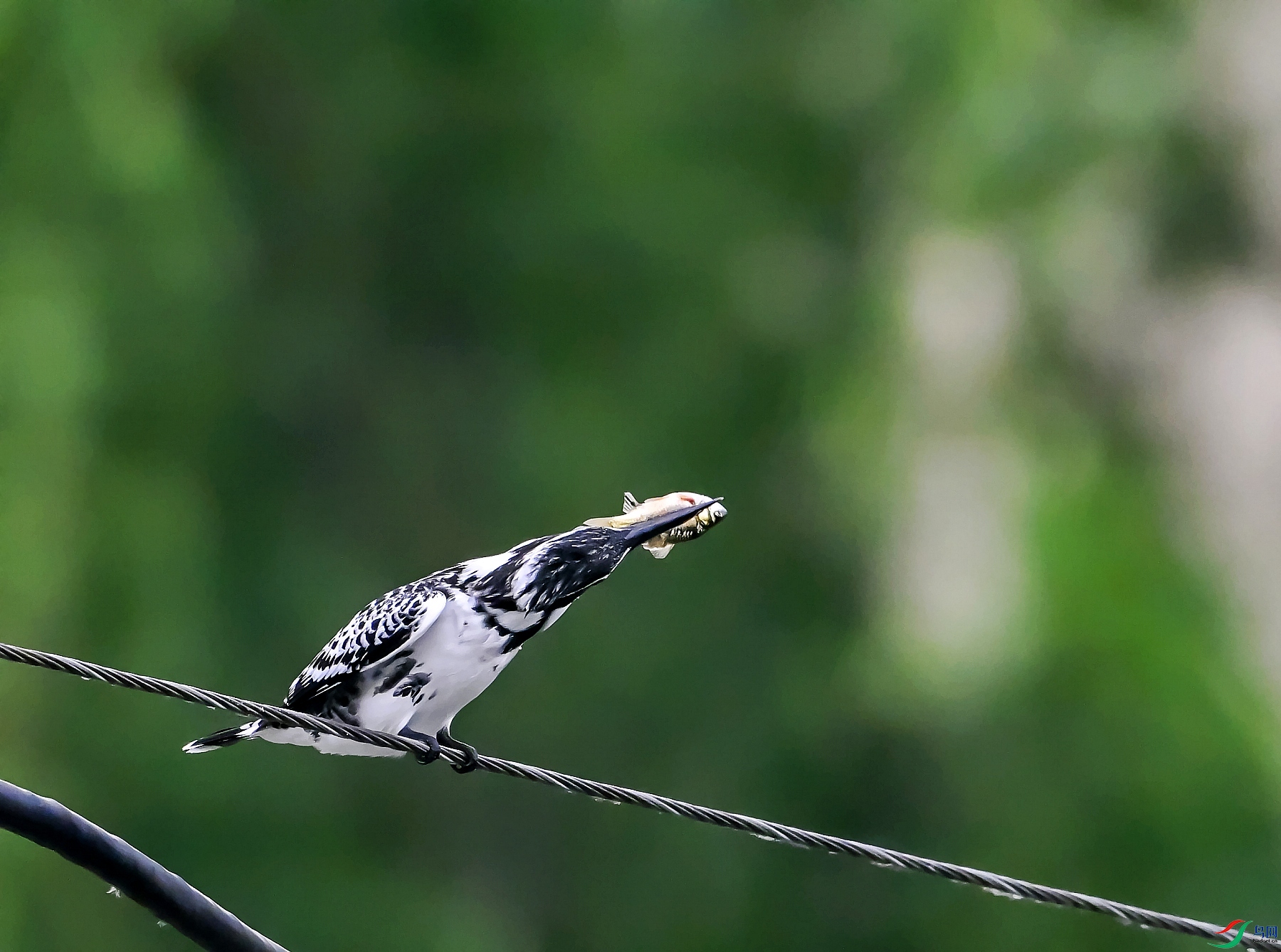 DSC_0735˦ͷ.jpg