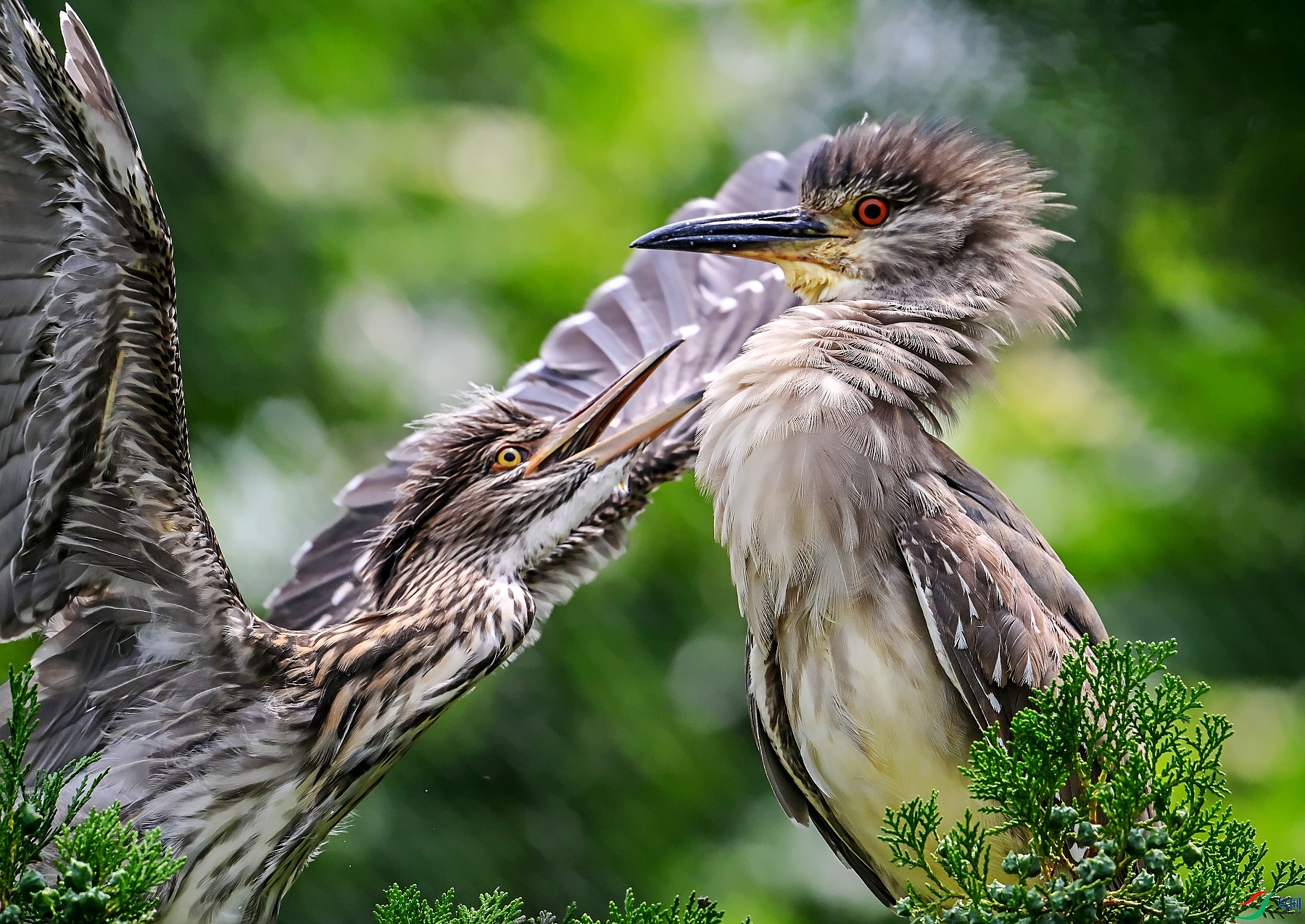 DSC_5505����.jpg