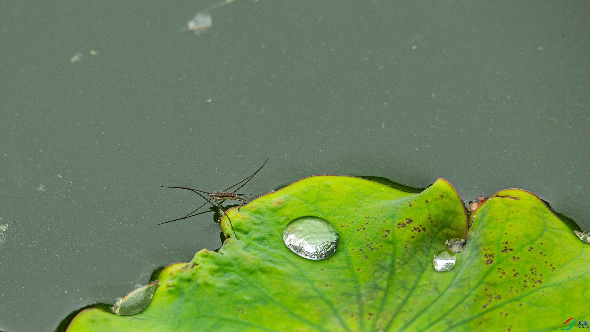 A48Z8744.jpg